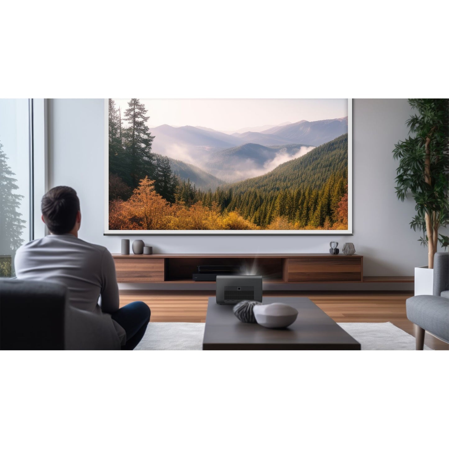 BenQ GP520
