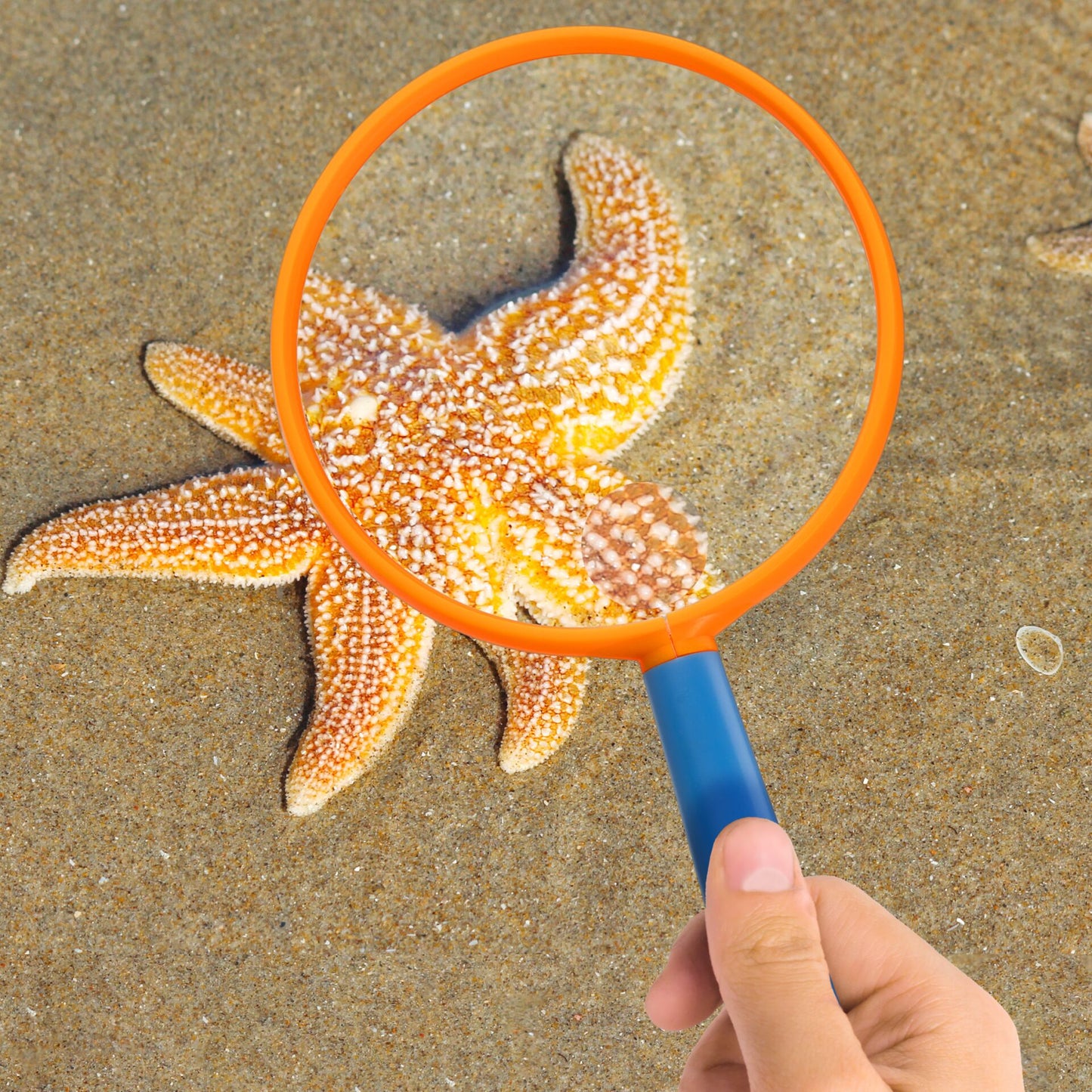 DieMaus Magnifier for Children