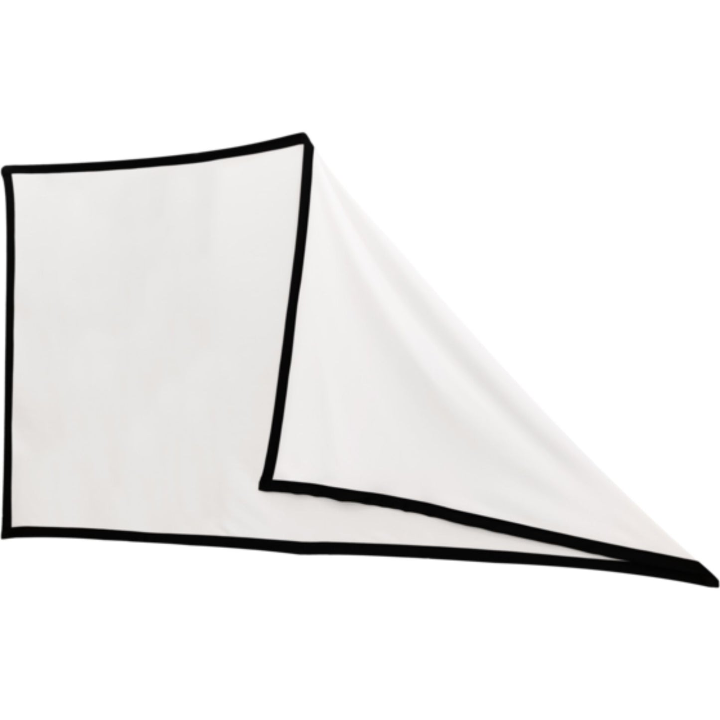 HP CC180W Set mit Leinwand