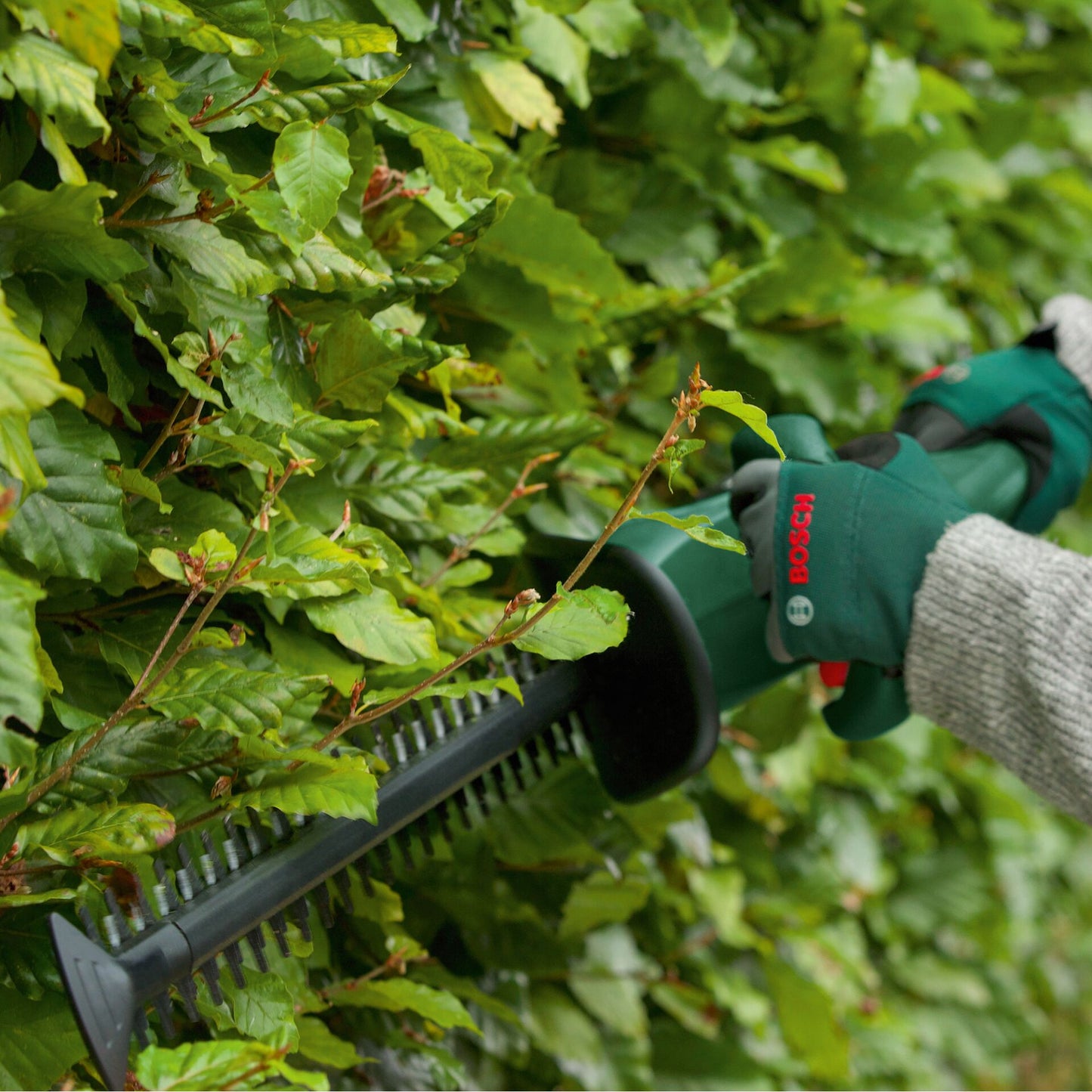 Bosch EASYHEDGECUT 18V-52-13 Akku-Heckenschere