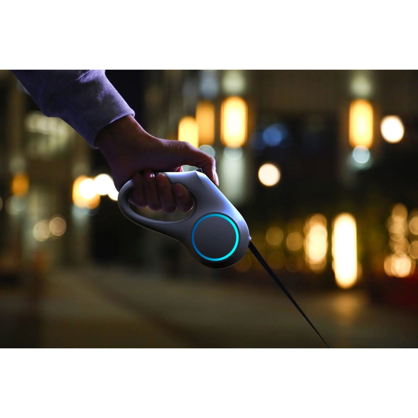 PETKIT Go Shine Hundeleine 3m (P2101)