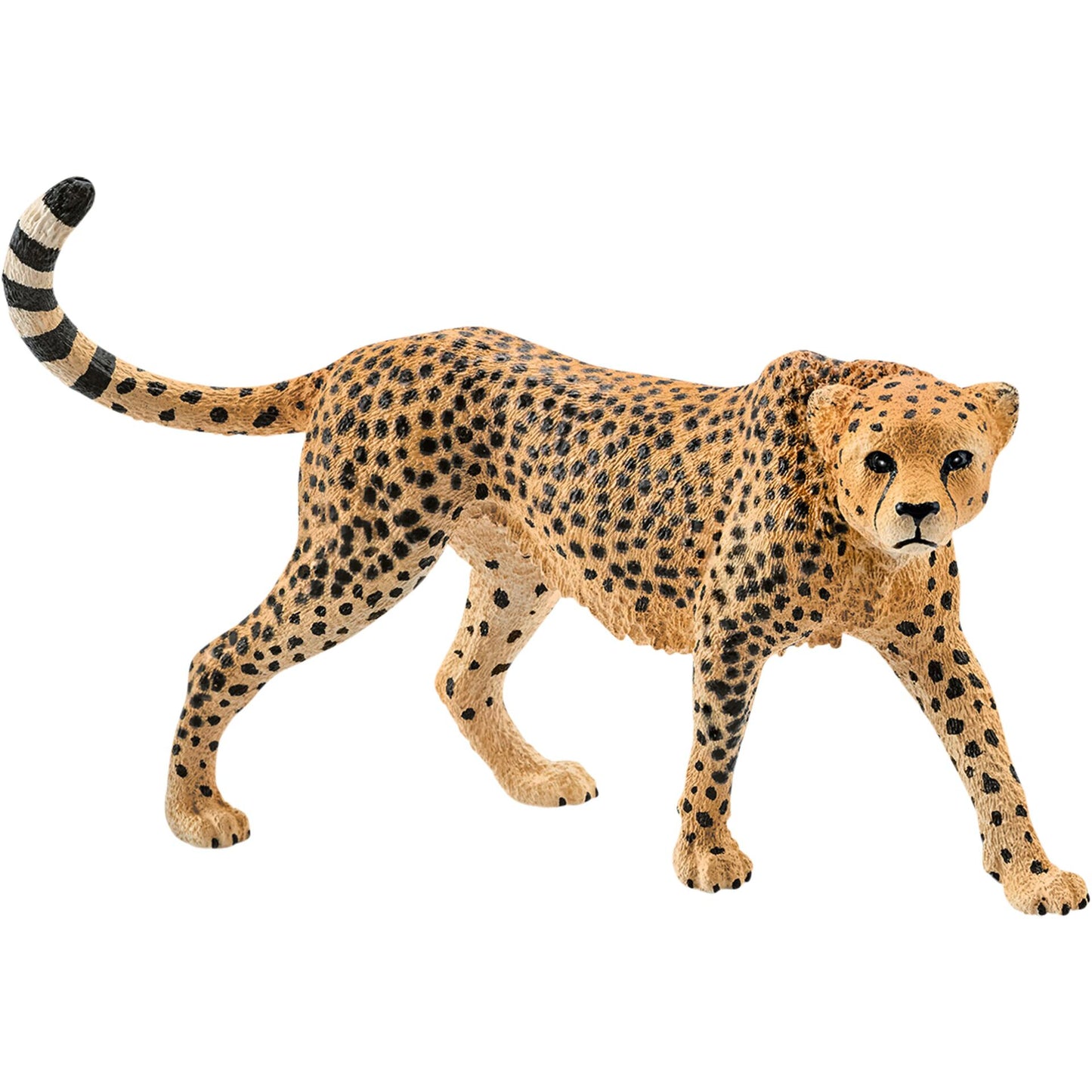 Schleich Wild Life Cheetah