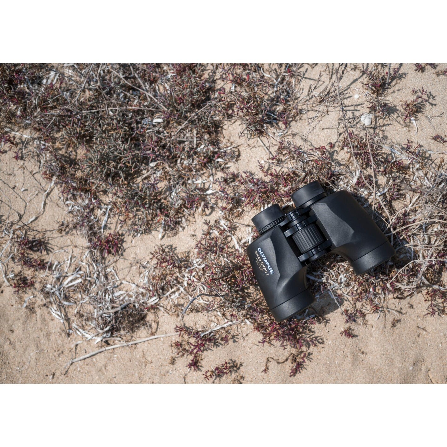 Olympus 8x42 EXPS I