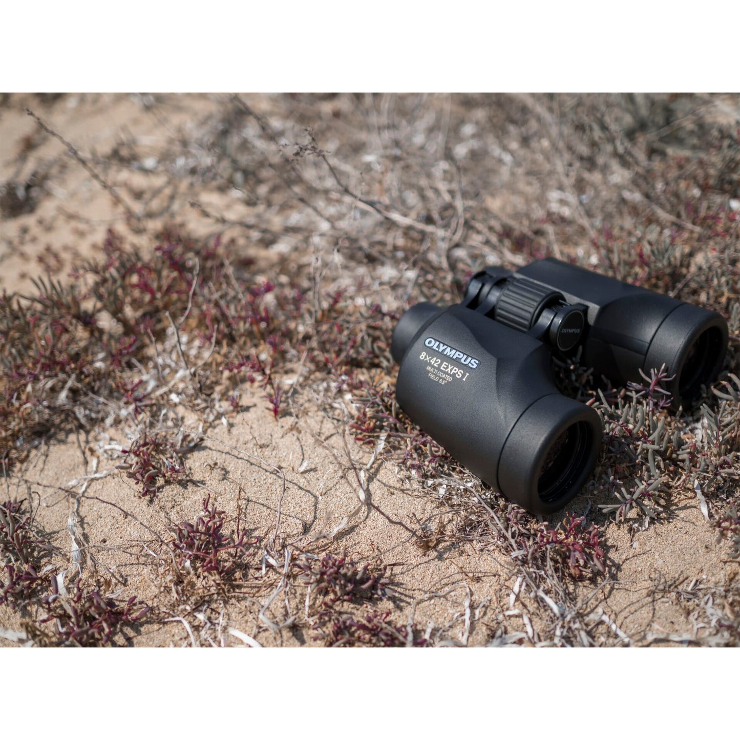 Olympus 8x42 EXPS I