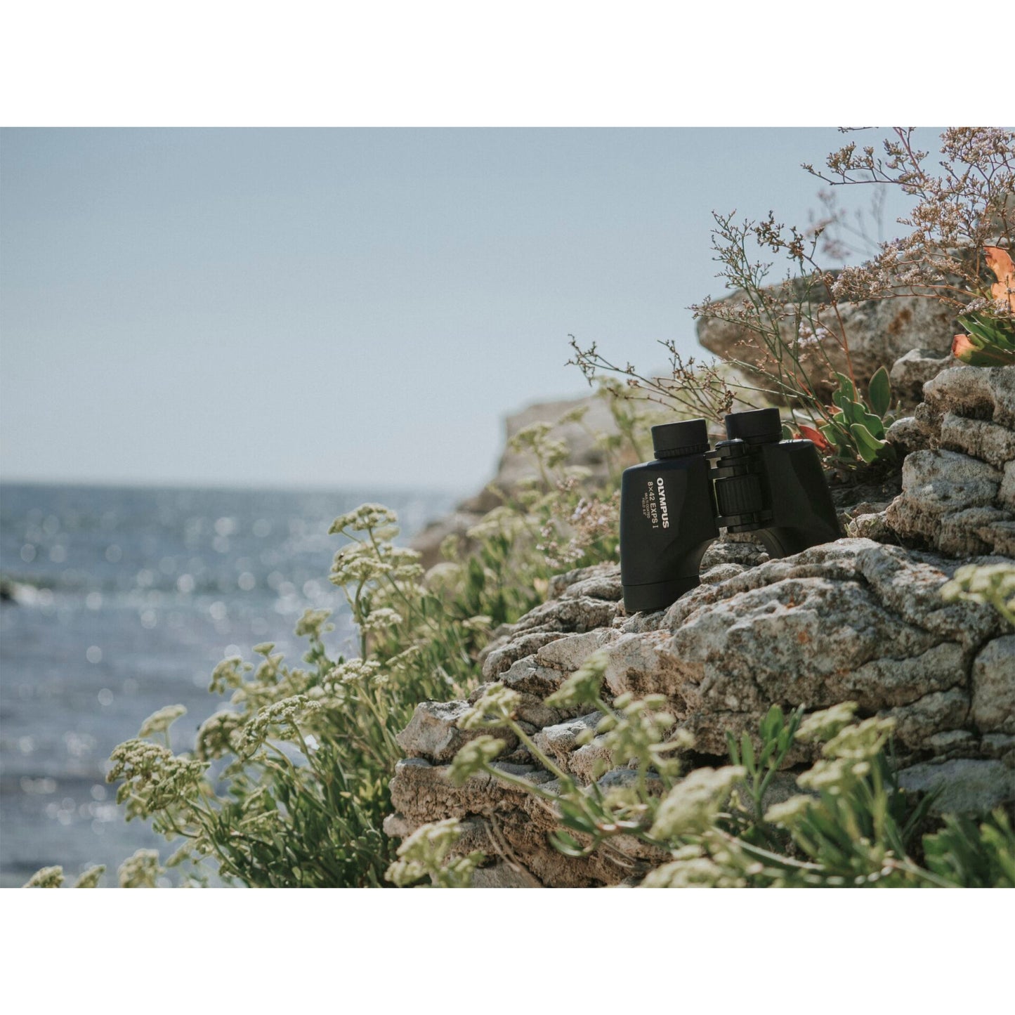 Olympus 8x42 EXPS I