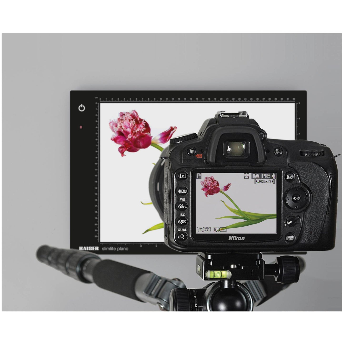Kaiser LED Light Box plano 32x22,8cm