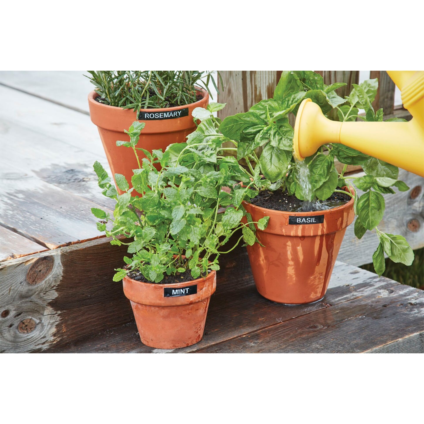 Dymo D1 Durable Labels 12 mm x 3 m white to black