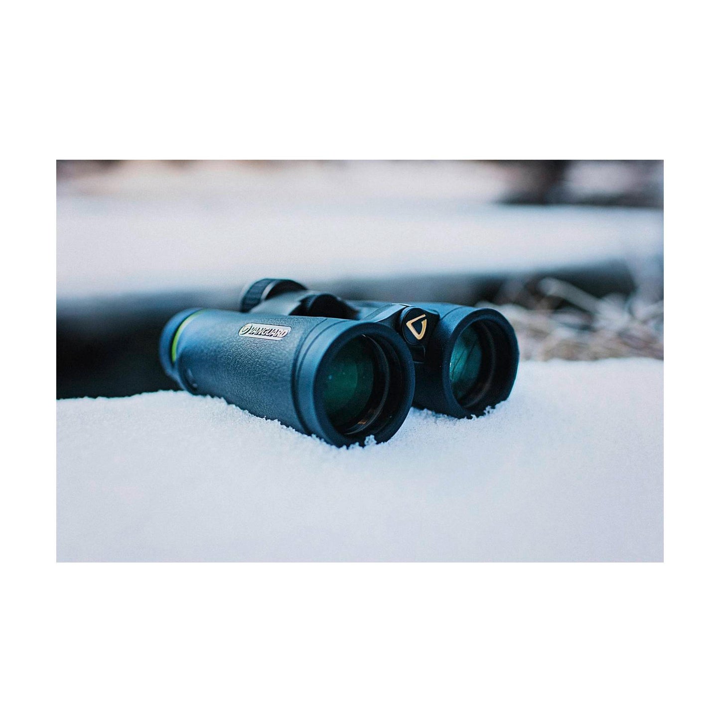 Vanguard Endeavor ED IV 8x42