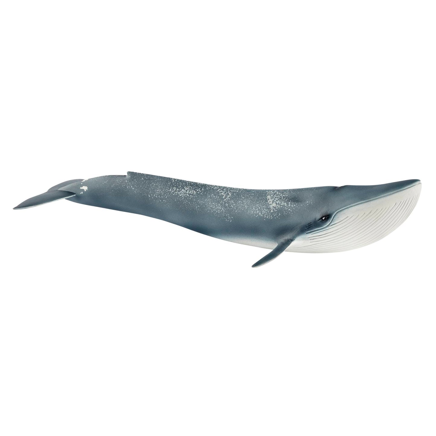 Schleich Wild Life         14806 Blue Whale