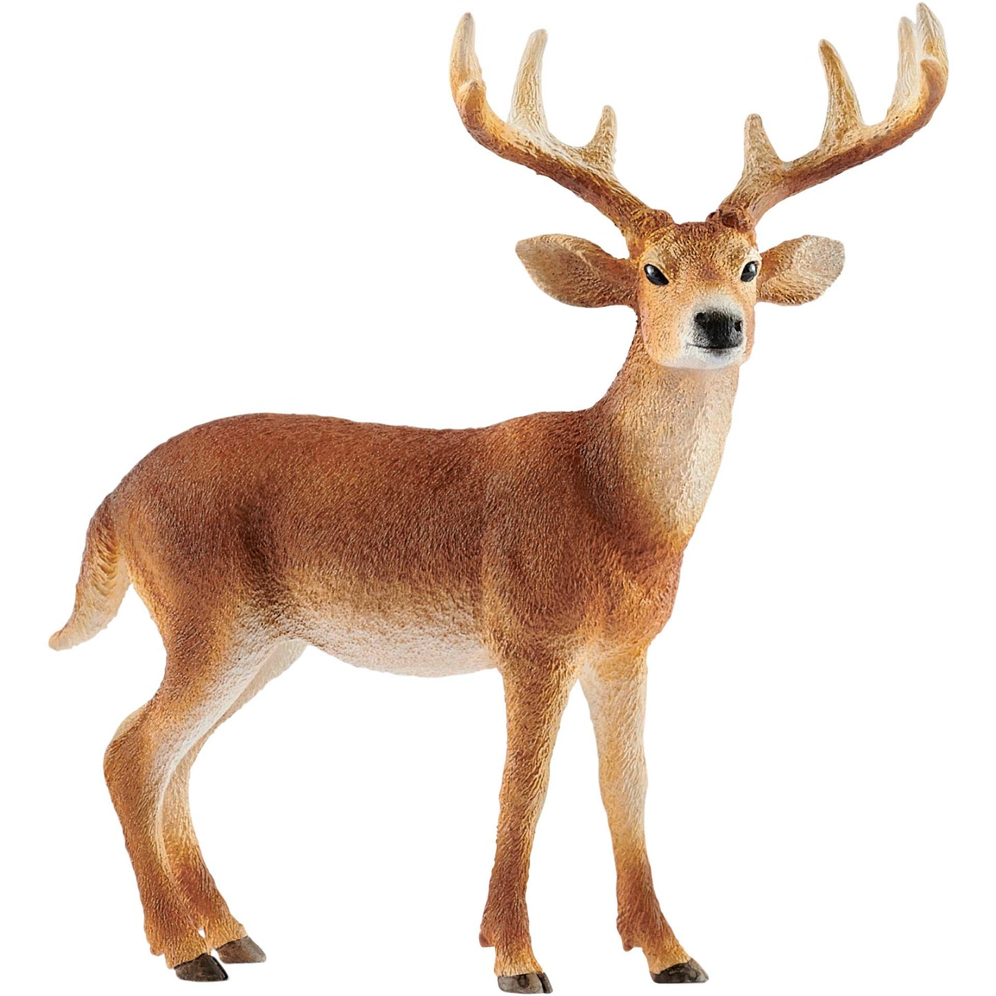 Schleich Wild Life         14818 White-Tailed Buck