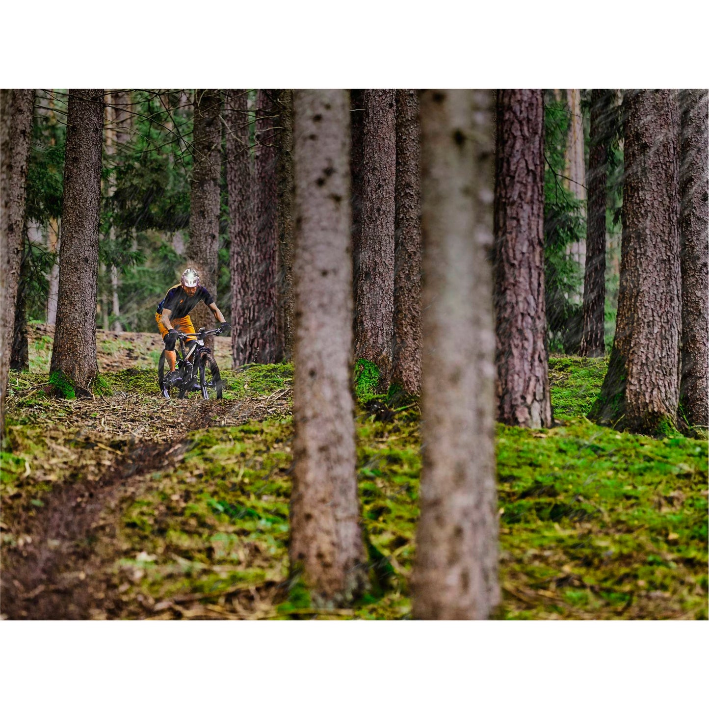 Garmin Varia UT 800 Trail Edition