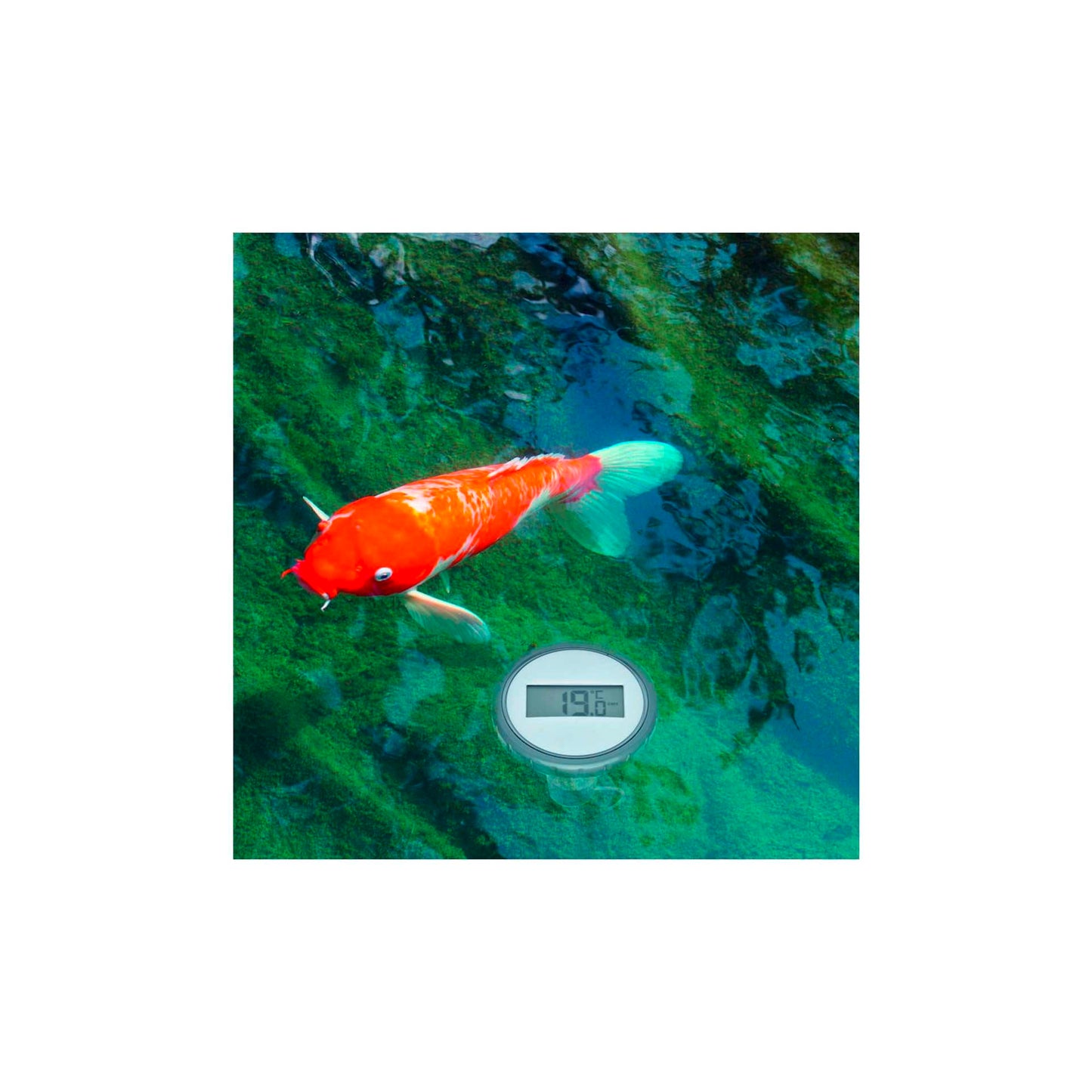 TFA 30.3067.10 RC Pool Thermometer