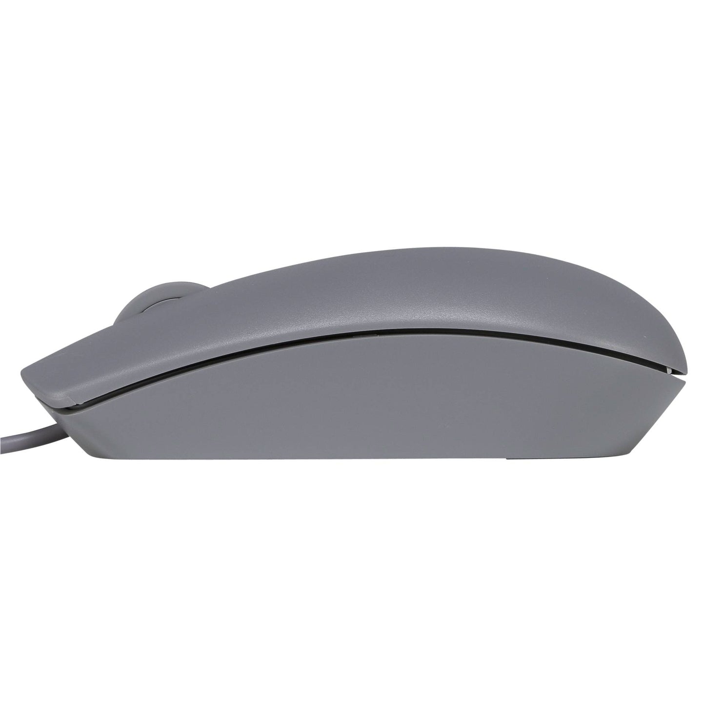 Dell MS116 USB Mouse grey