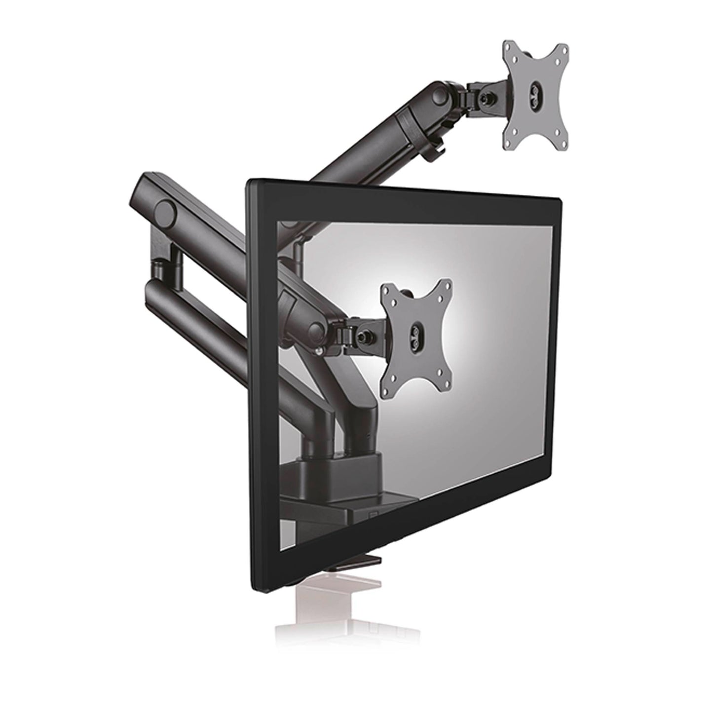 Raidsonic ICY BOX IB-MS314-T