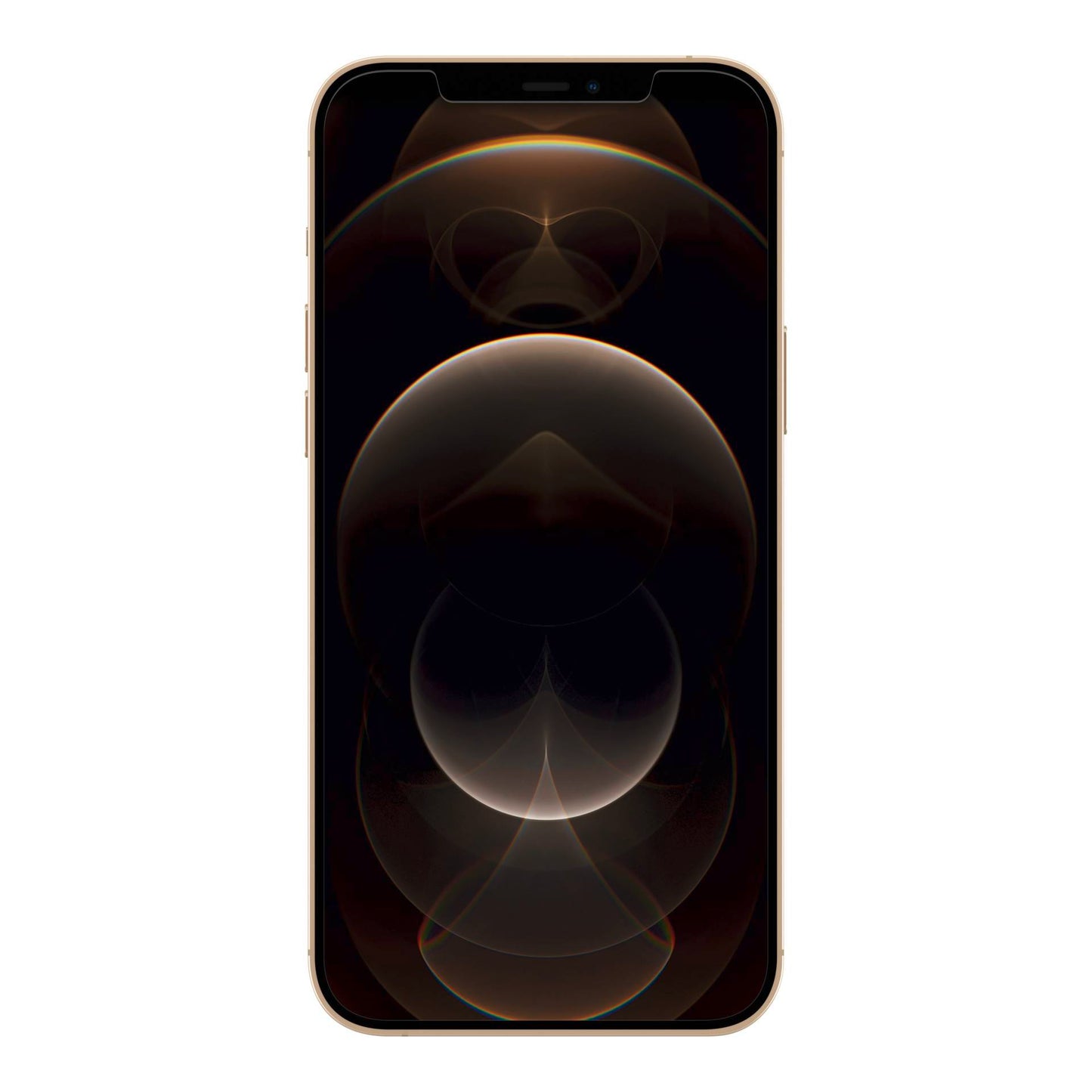 Belkin ScreenForce Ultra Glass antimicr.iPhone12ProMax OVA039zz