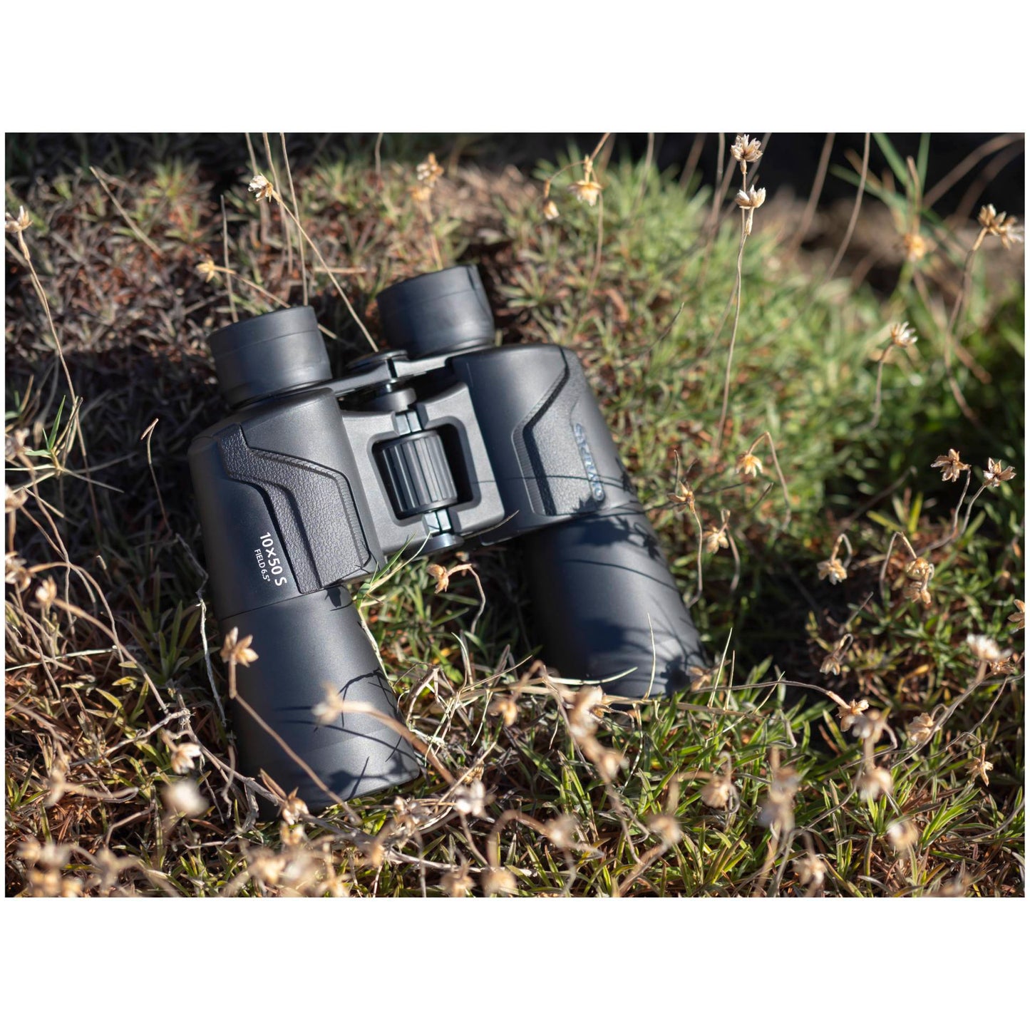 Olympus 10x50 S