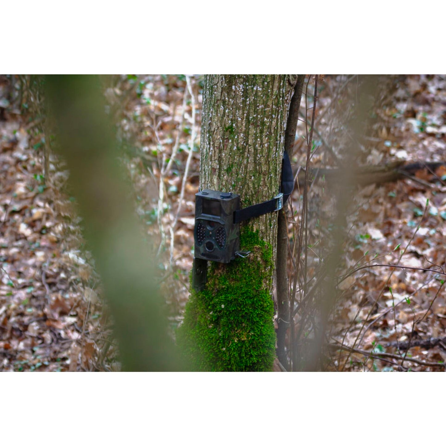 Braun Scouting Cam Black300