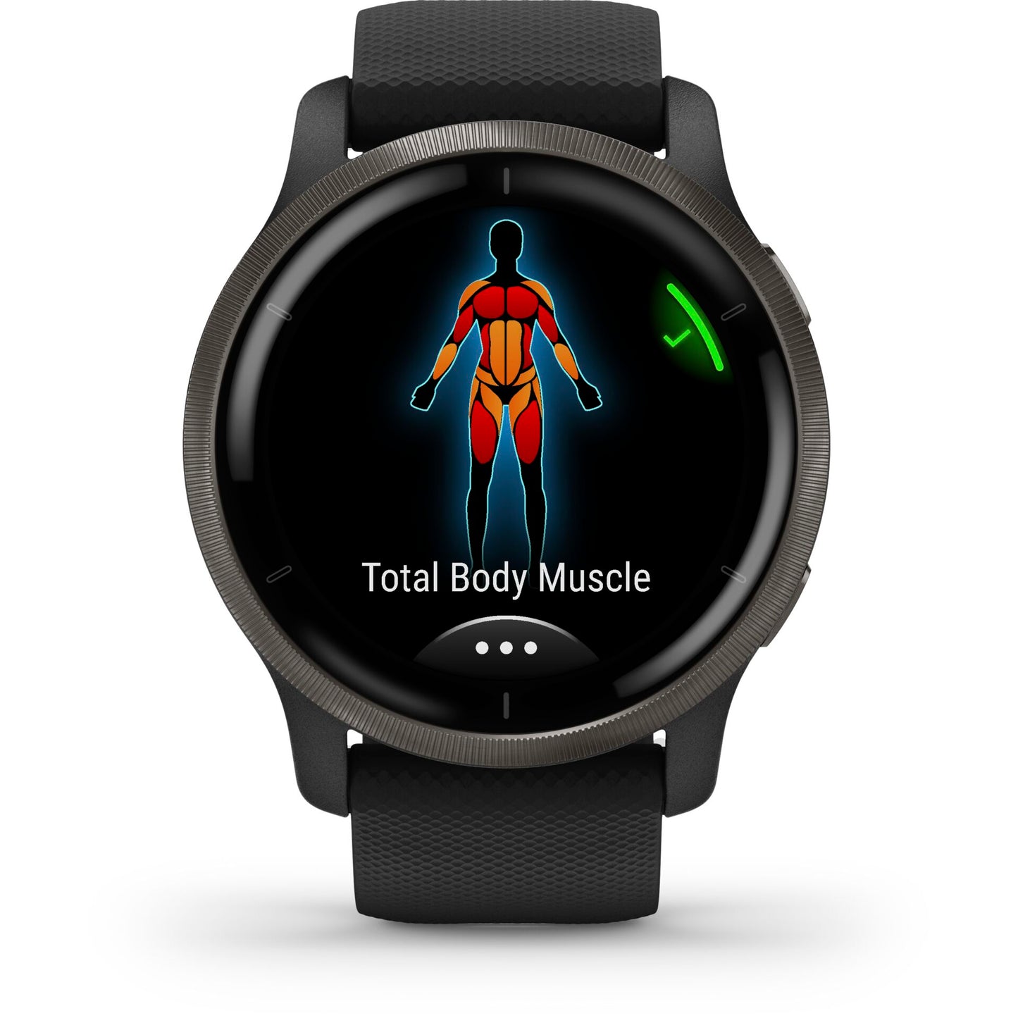 Garmin Venu 2 black/slate grey