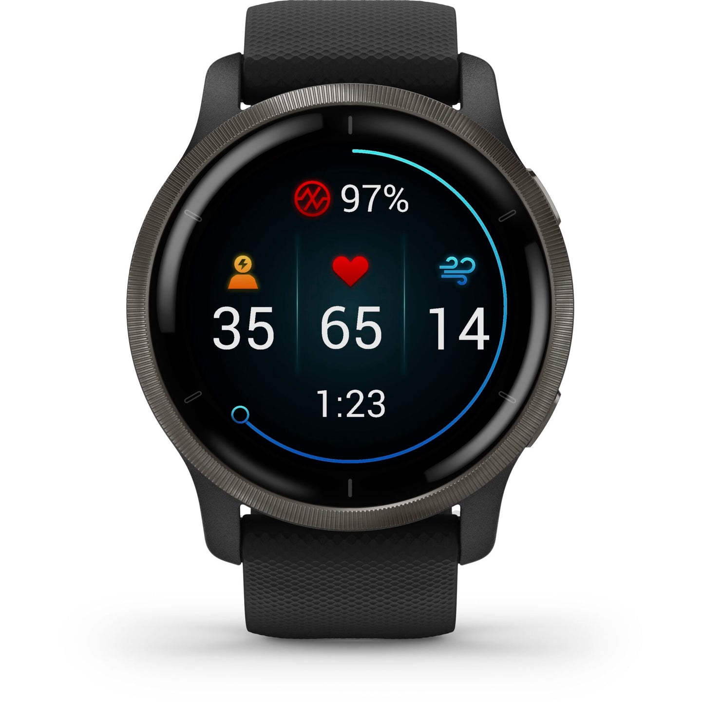 Garmin Venu 2 black/slate grey