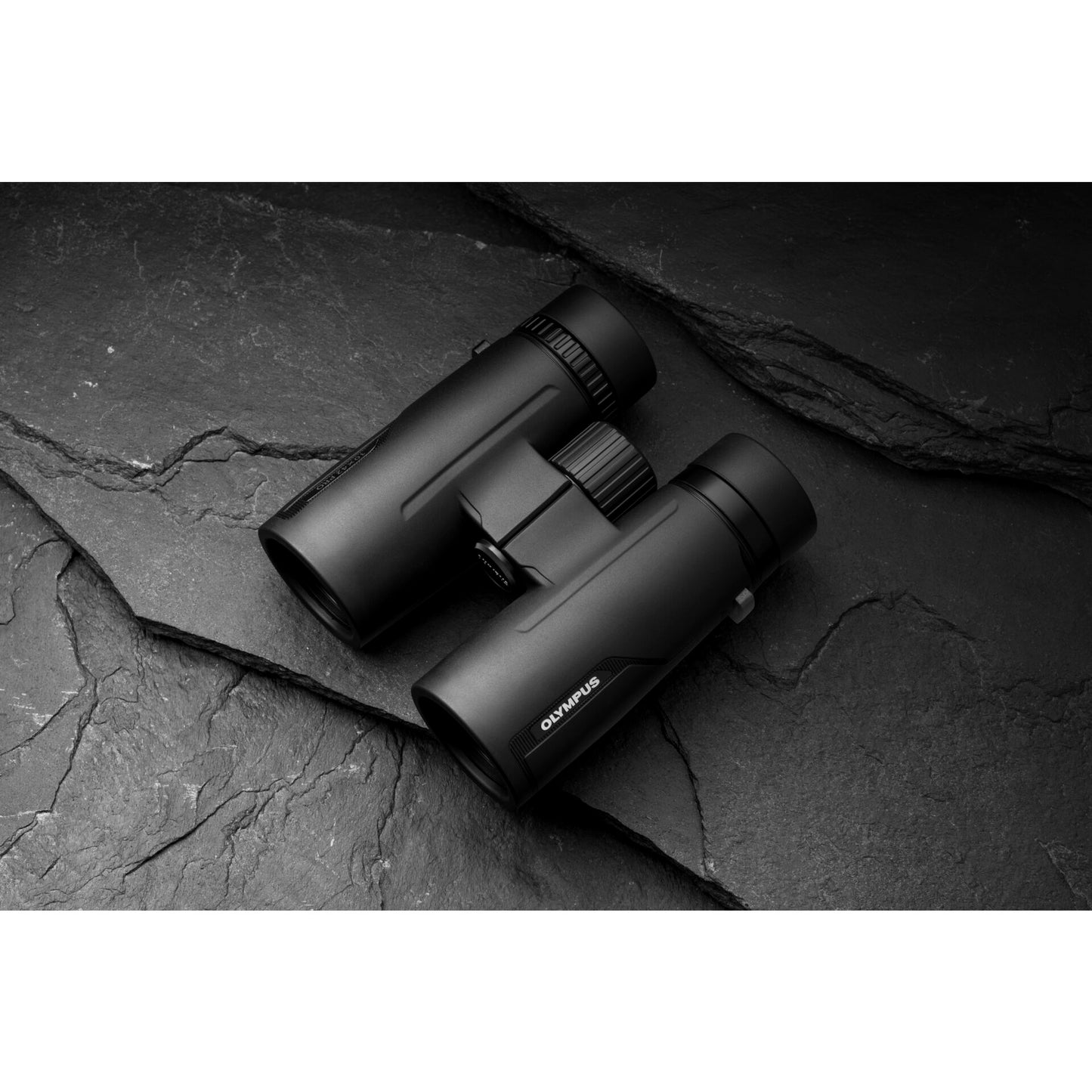 Olympus 8x42 Pro