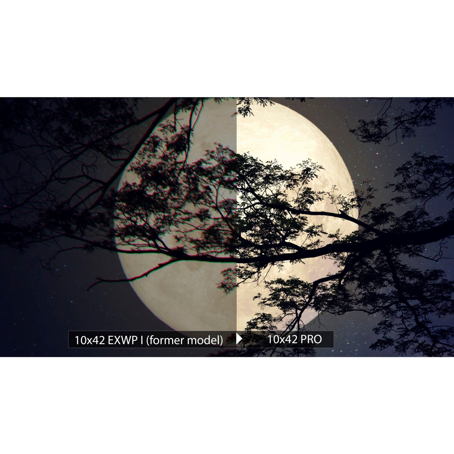 Olympus 10x42 Pro