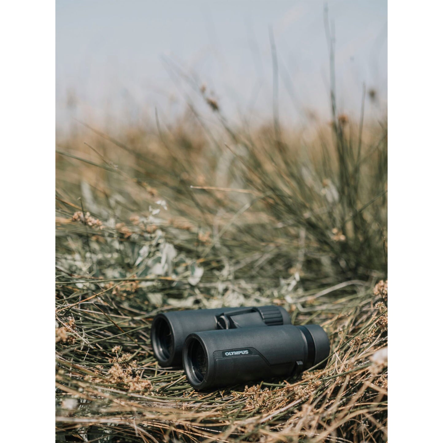 Olympus 10x42 Pro