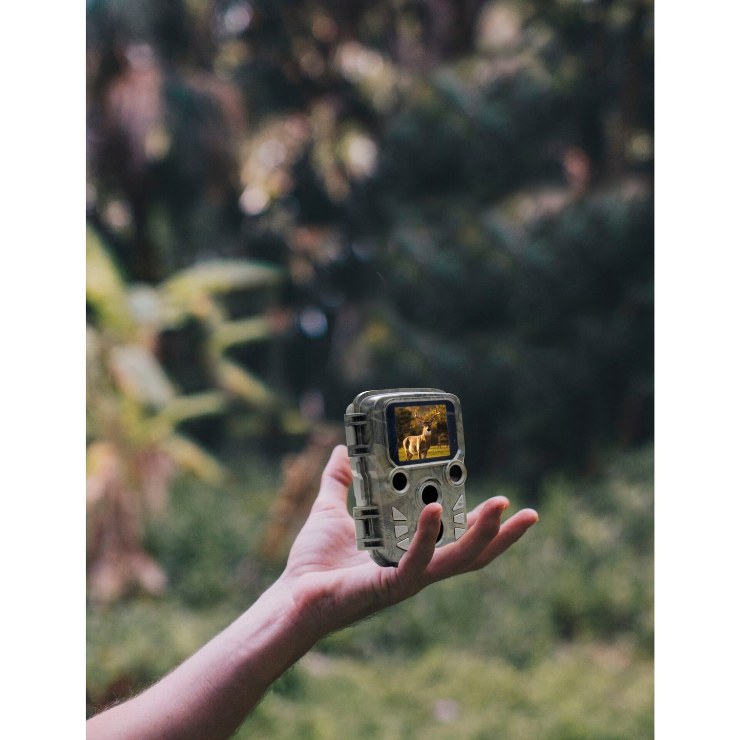 Braun Scouting Cam Black800 mini