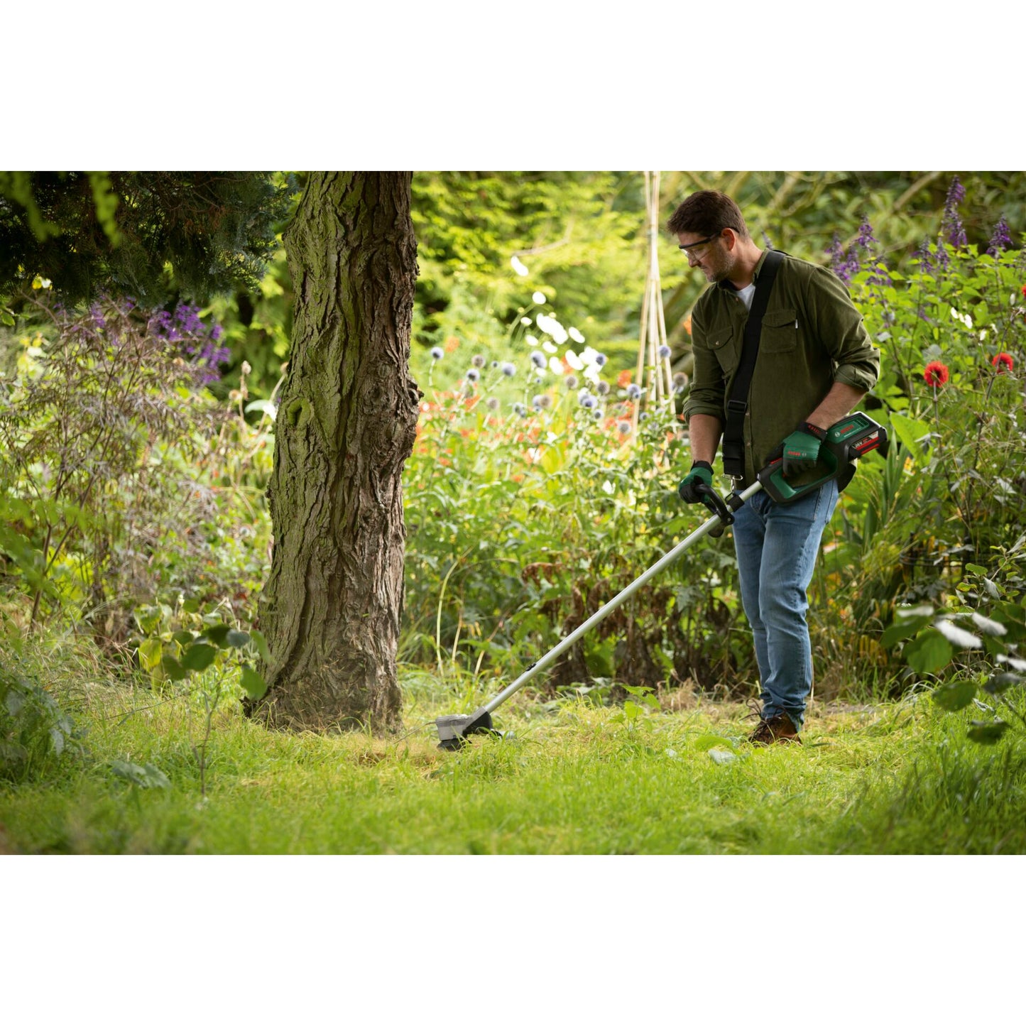 Bosch AdvancedGrassCut 36V-33