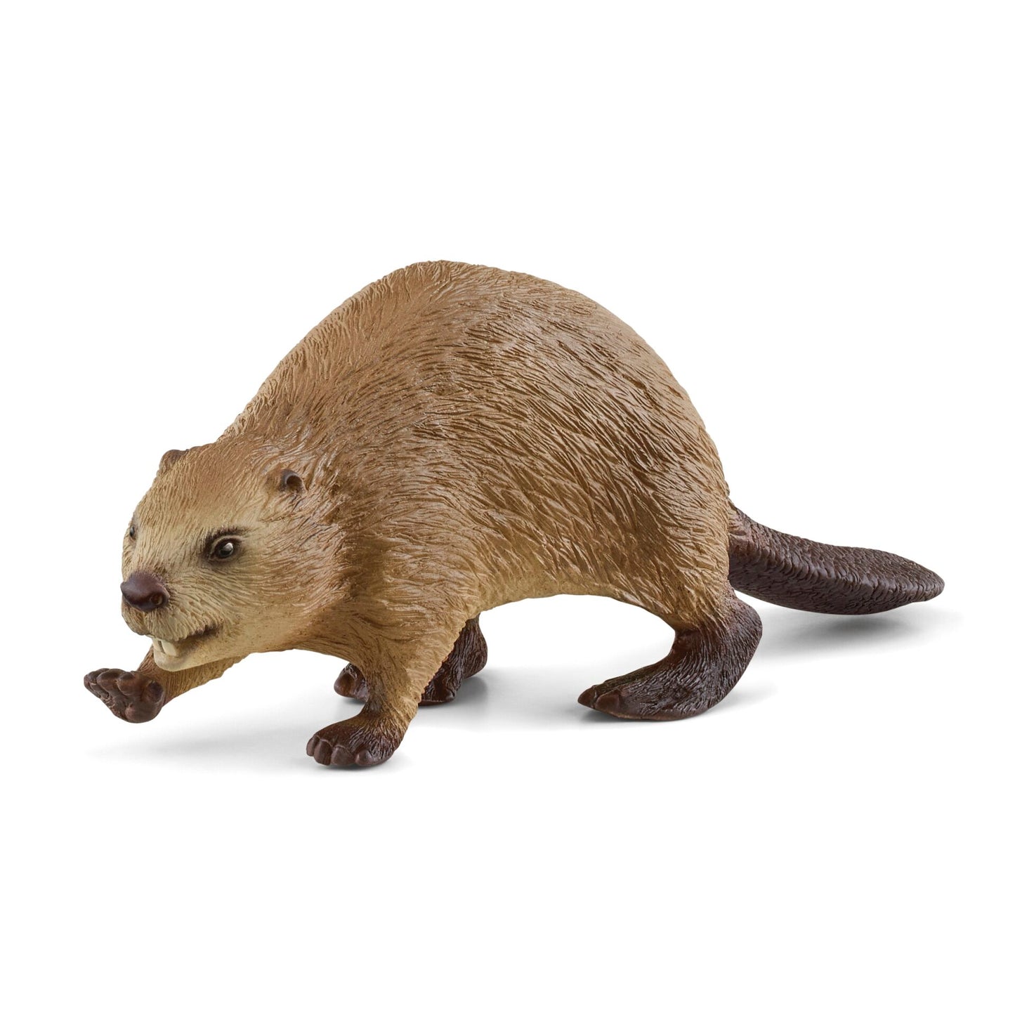 Schleich Wild Life 14855 Beaver