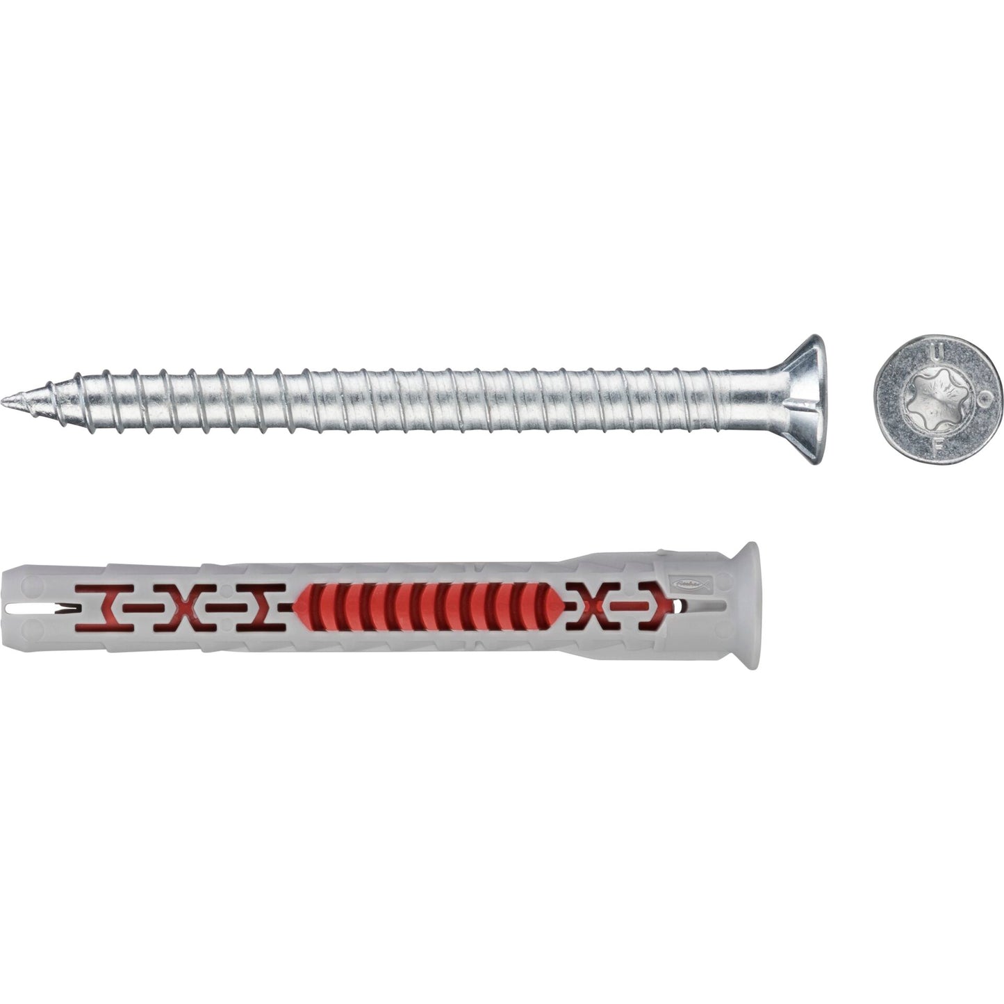 Fischer DuoXpand 10x80 T 50 pc.