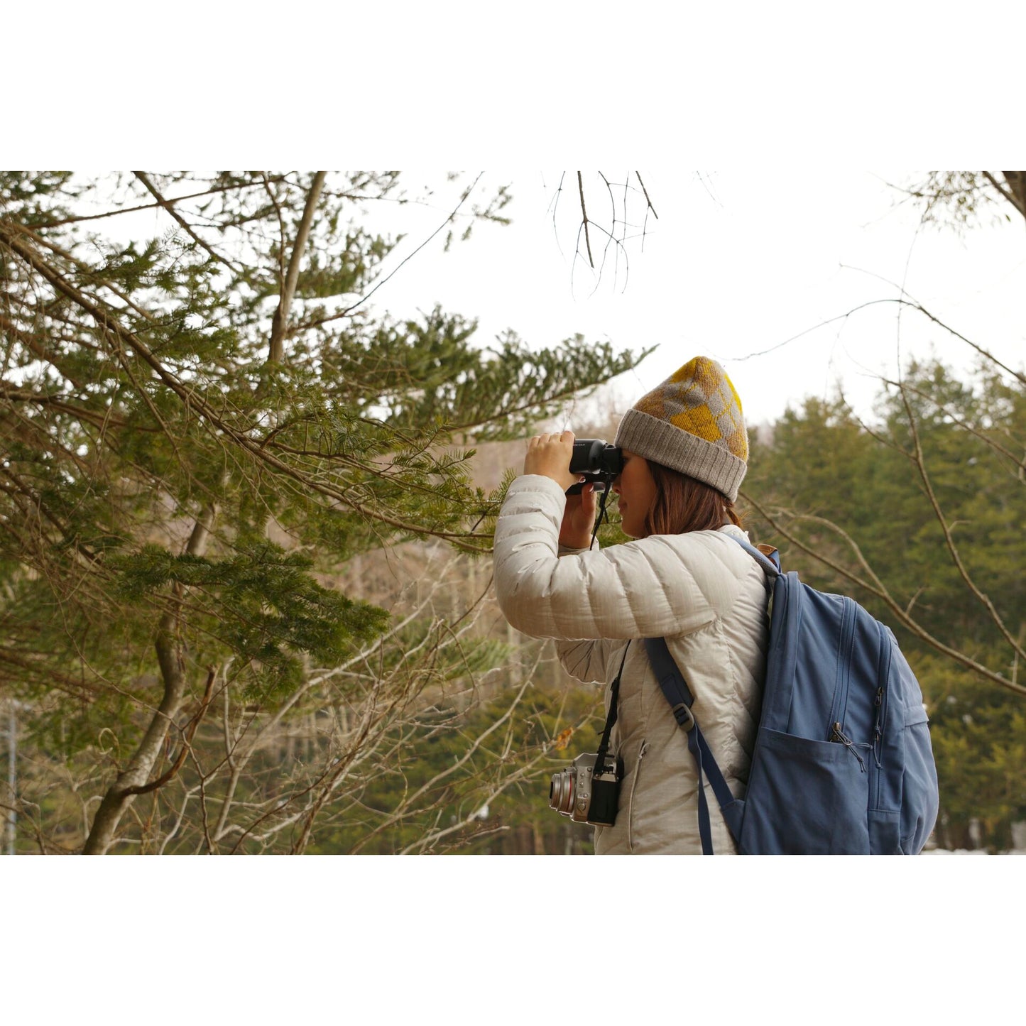 Pentax Jupiter 12x50