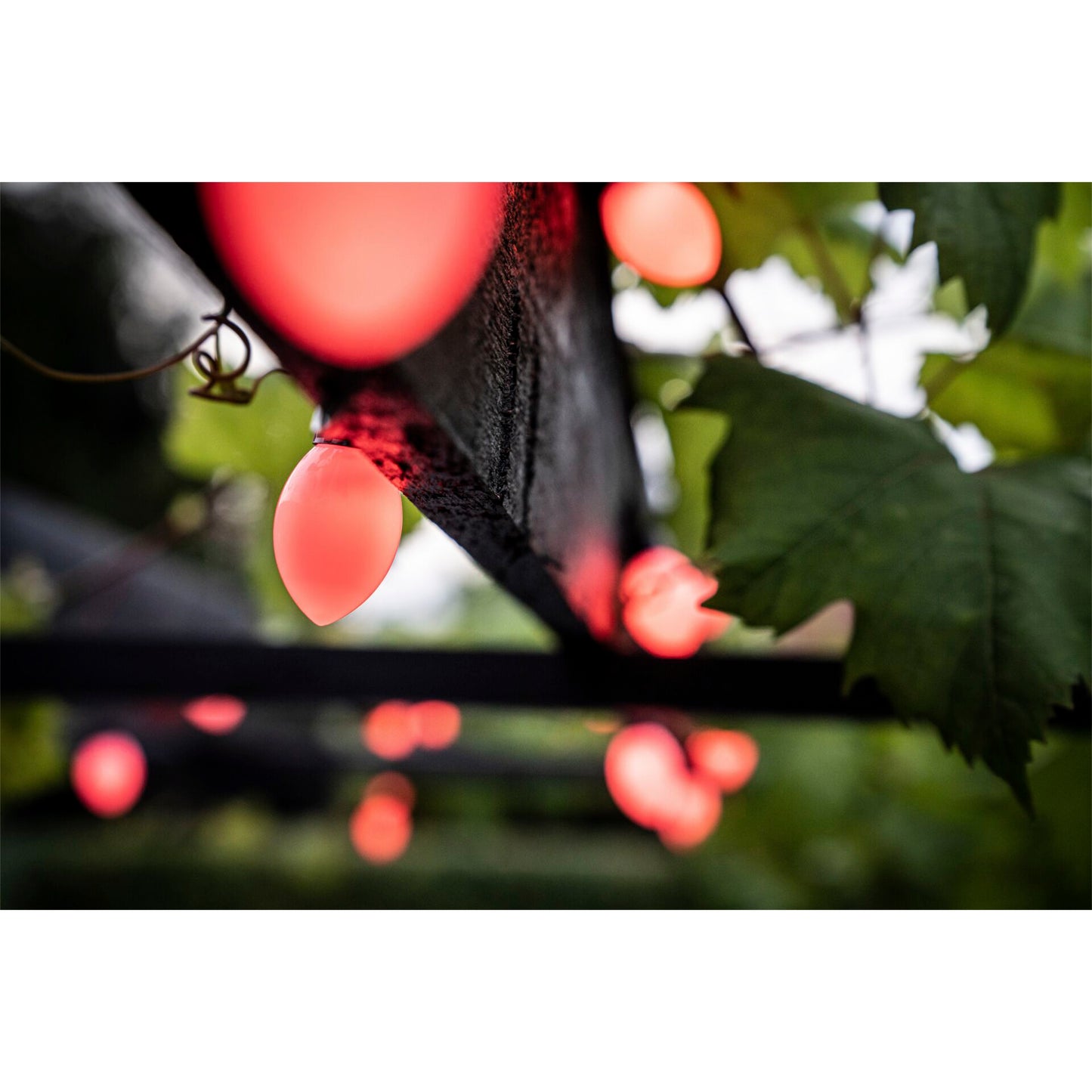 LBM 10m Smart Outdoor Light Chain - 50 x Cone Globe