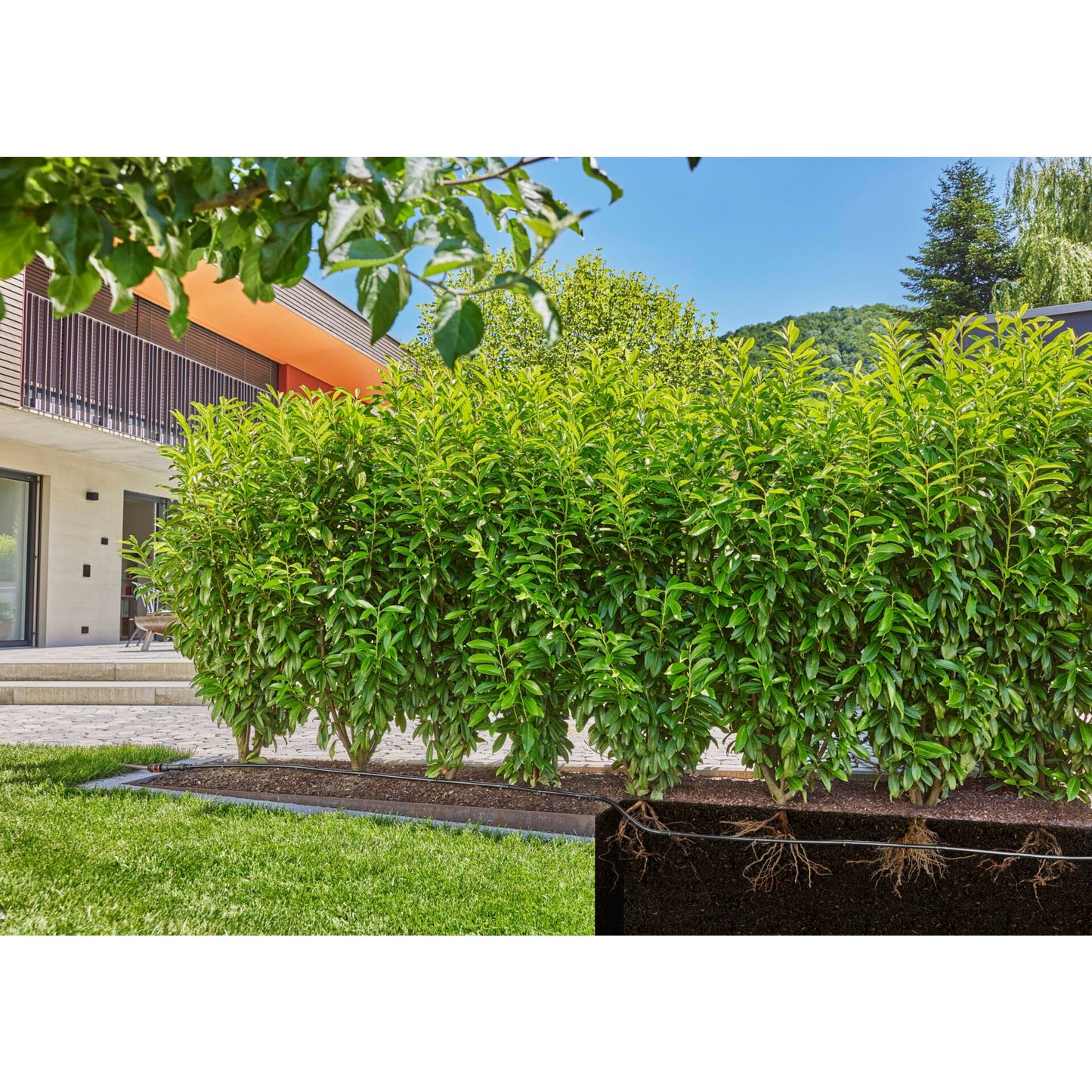 Gardena Micro-Drip-System Pipe 1,6 l/h, 50m