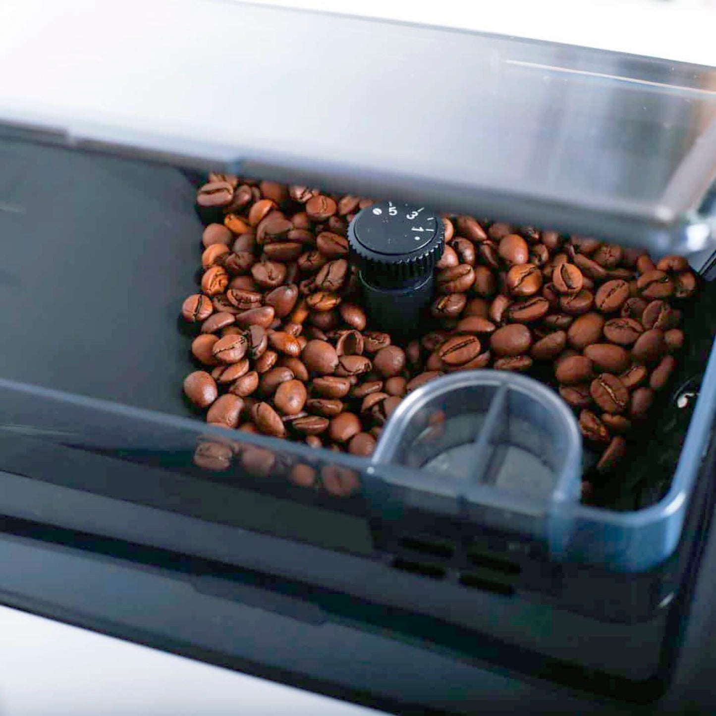 Acopino Cremona white