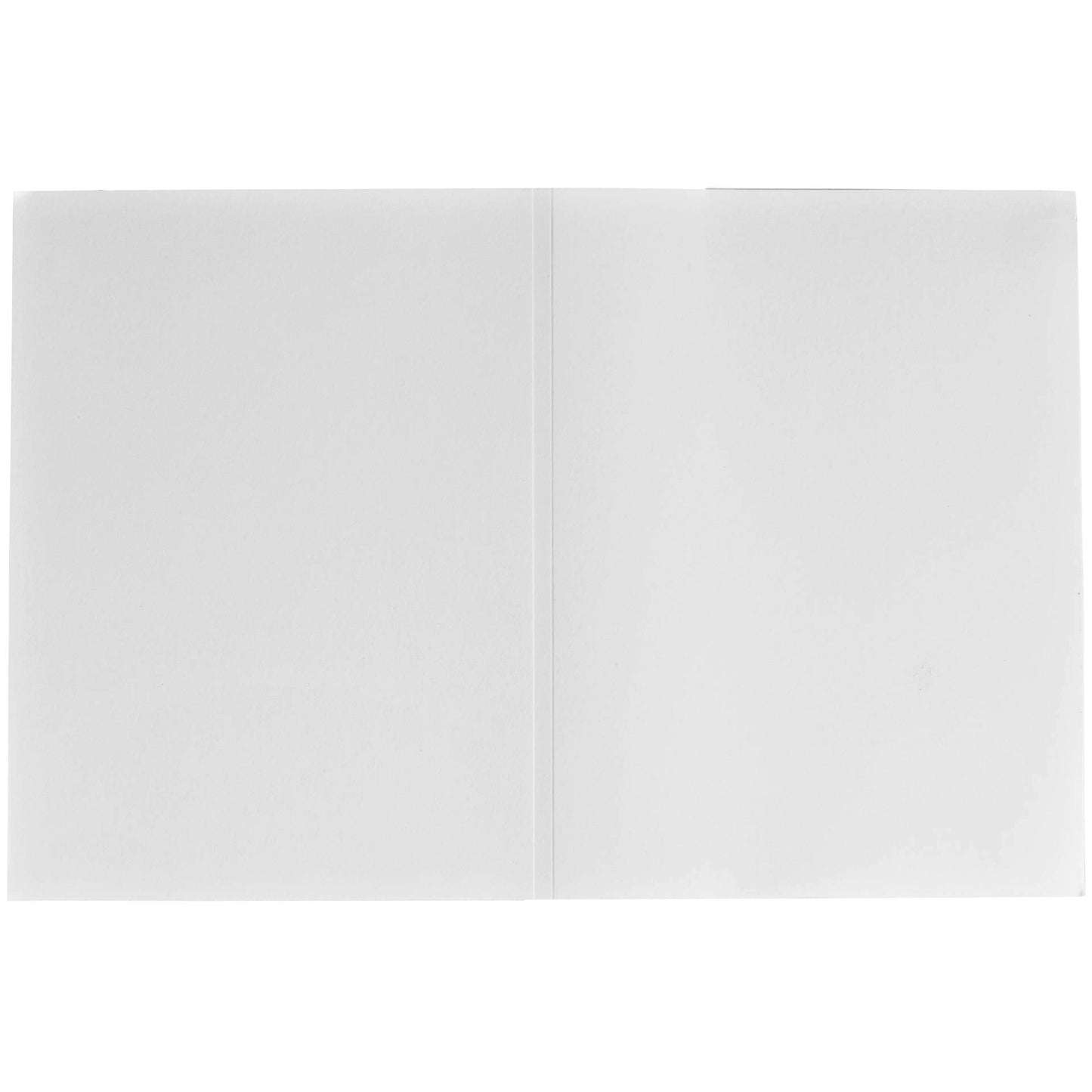 1x100 Daiber portrait folders w. CD archieve, 10x15 white