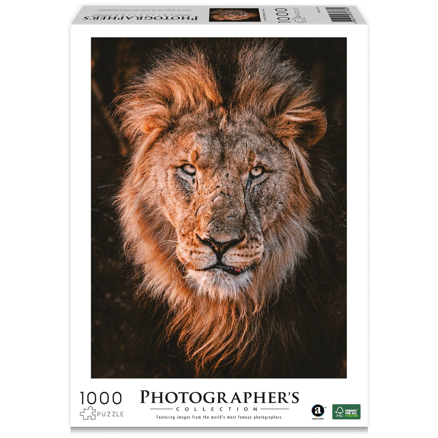 Ambassador Lion Head 1000 Pieces (Donal Boyd)