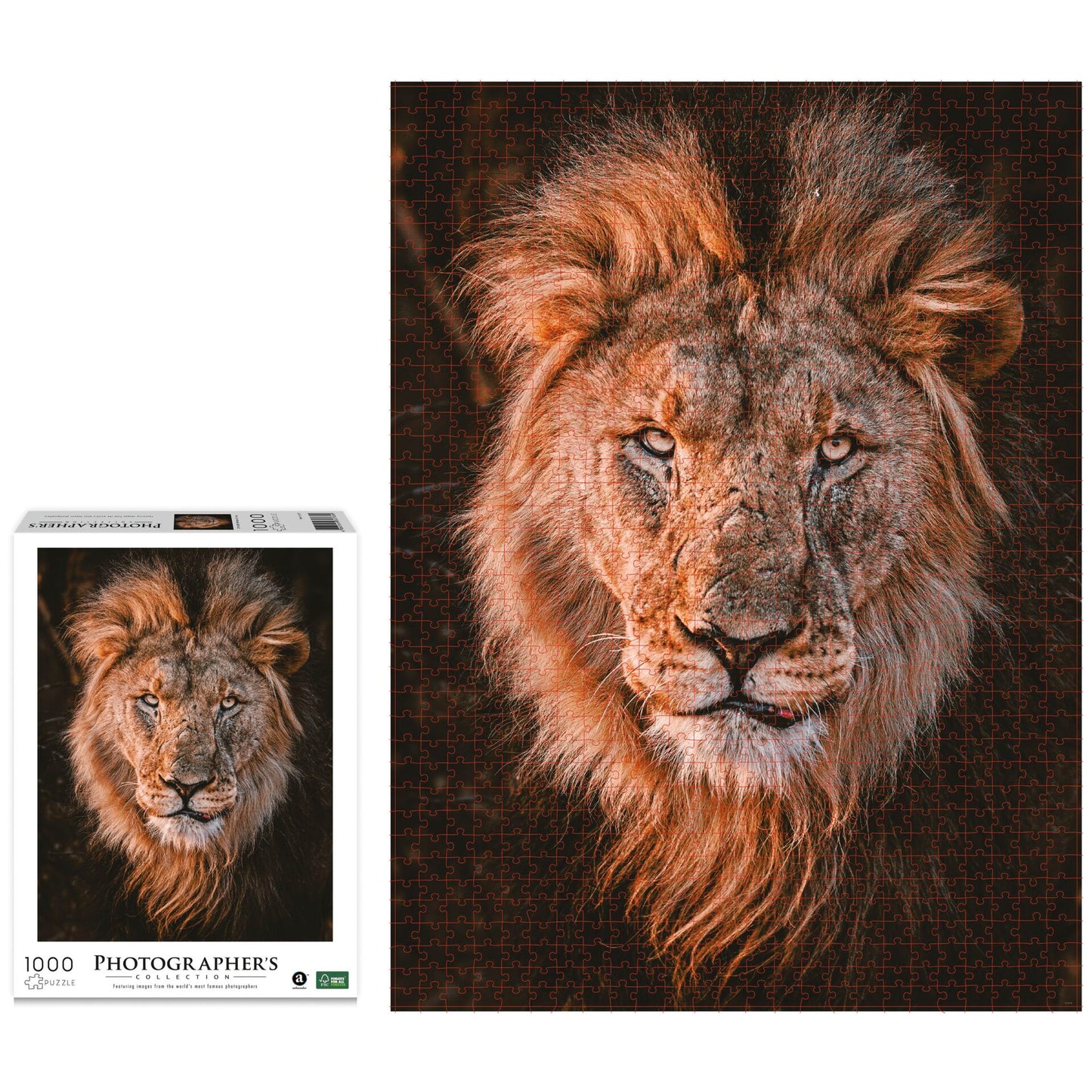 Ambassador Lion Head 1000 Pieces (Donal Boyd)