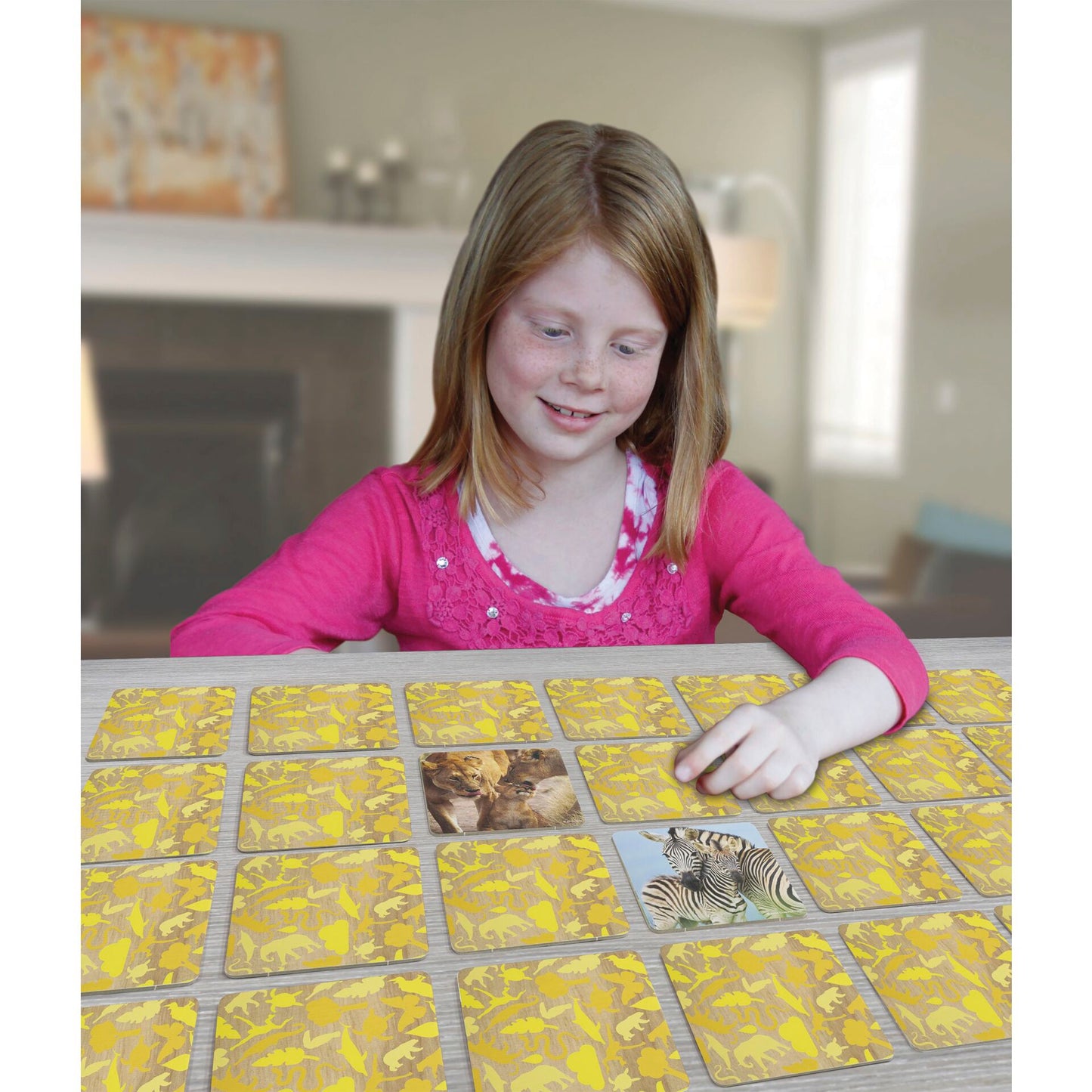 Ambassador Memo Animal Families