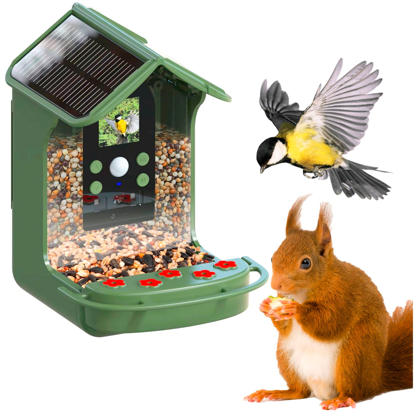 Easypix Bird Cam