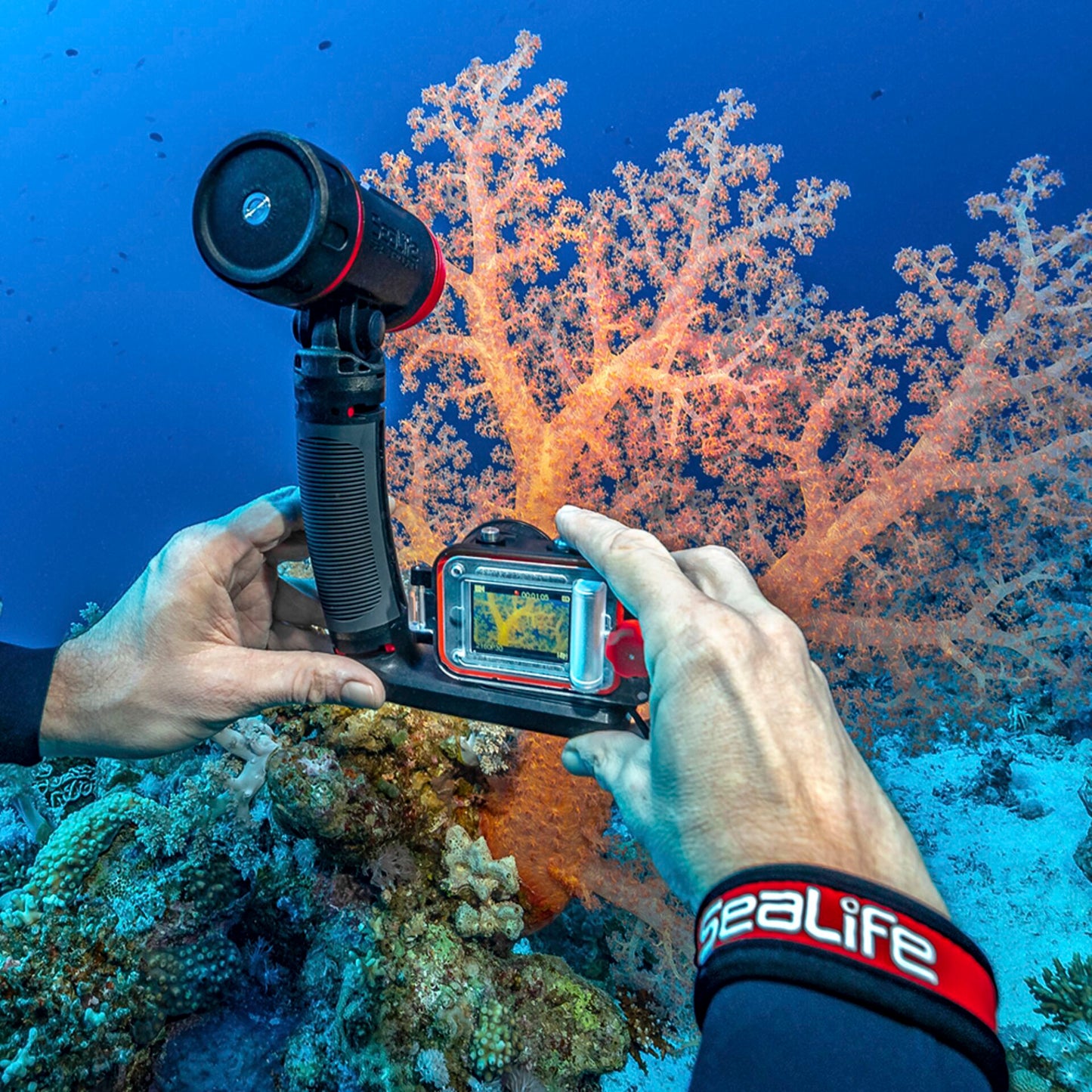 Sealife Reefmaster RM-4K Pro 2000 Set (SL354)