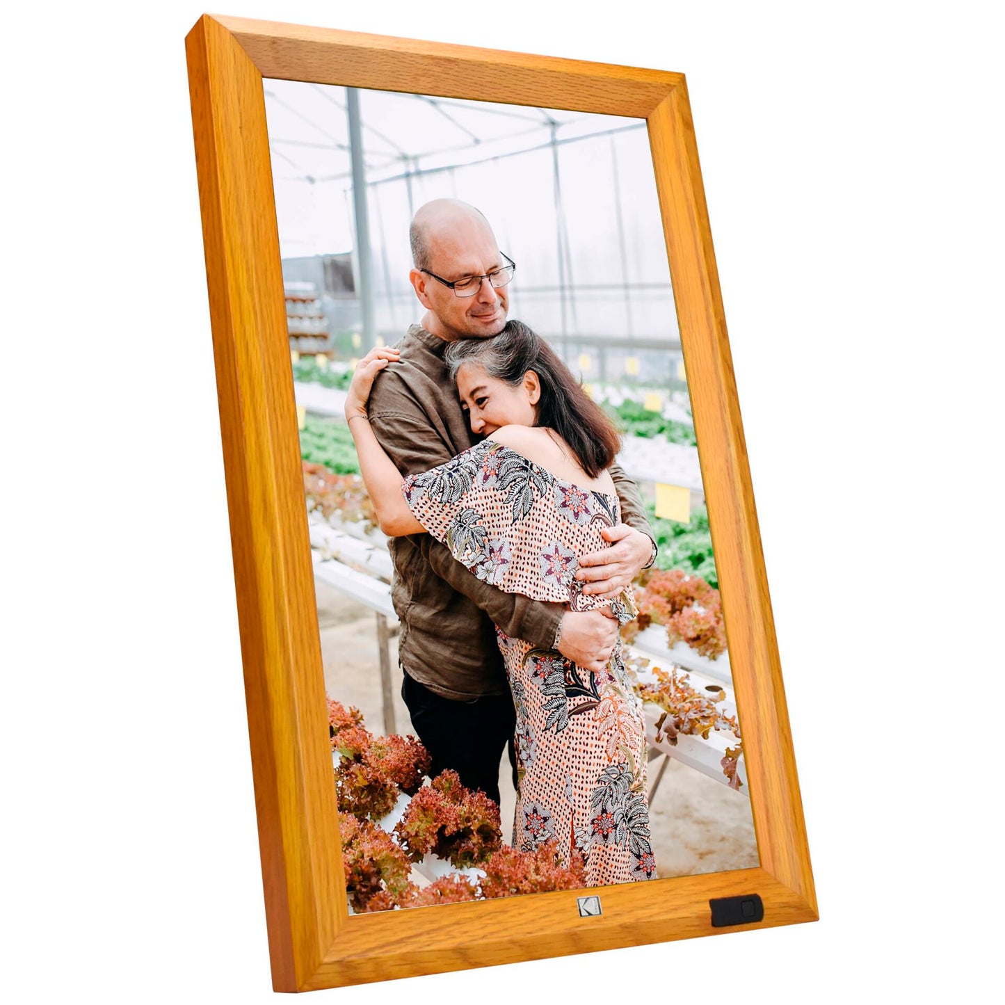 Kodak WF238V WiFi wooden brown