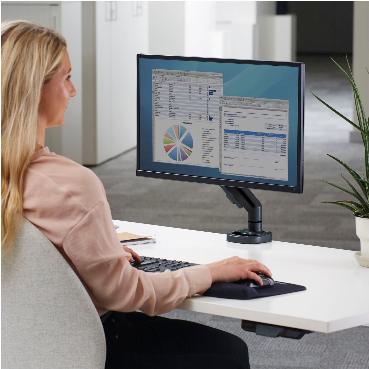 Fellowes Eppa Single Monitorarm black