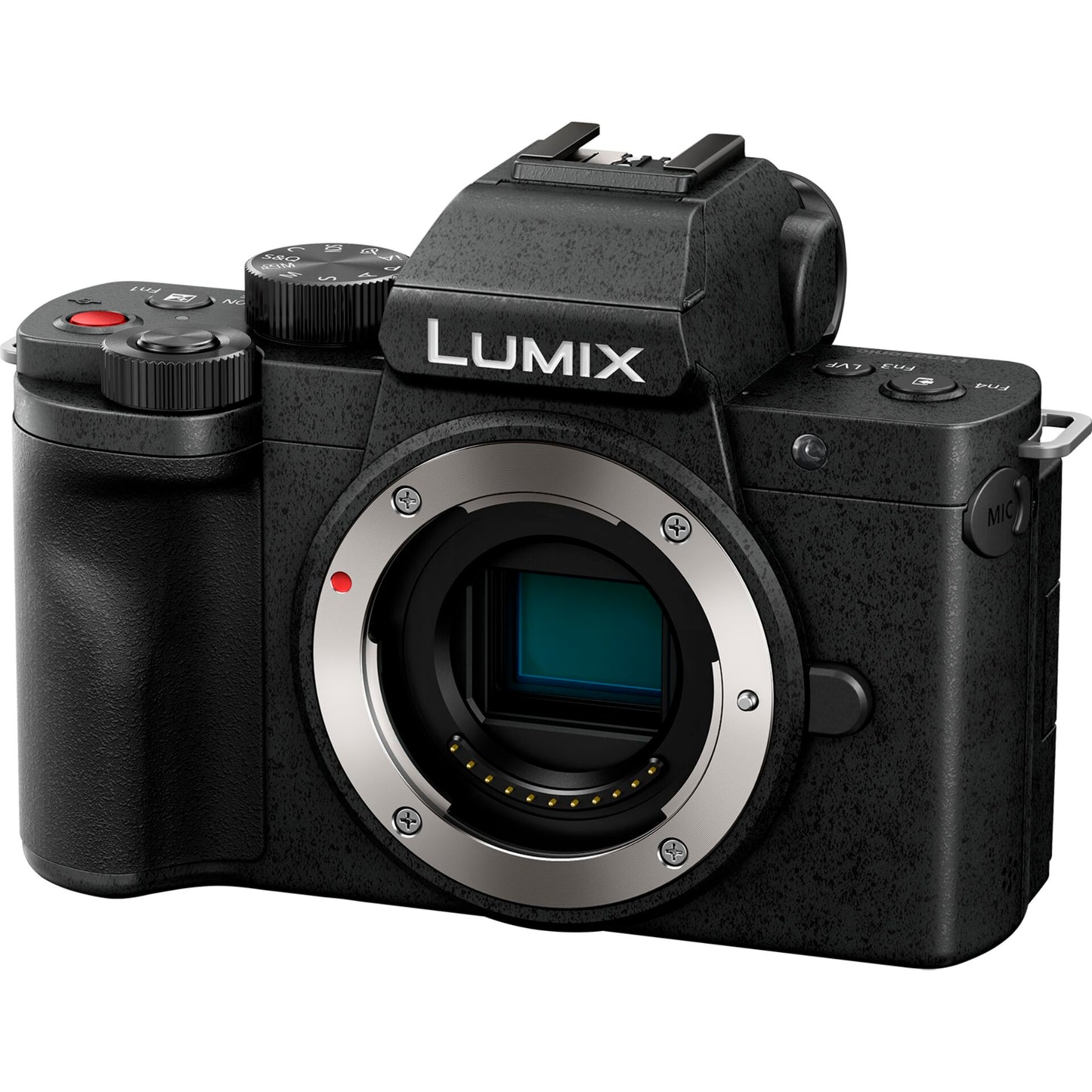 Panasonic Lumix DC-G100D black + H-FS 12-32 + DMW-SHGR2