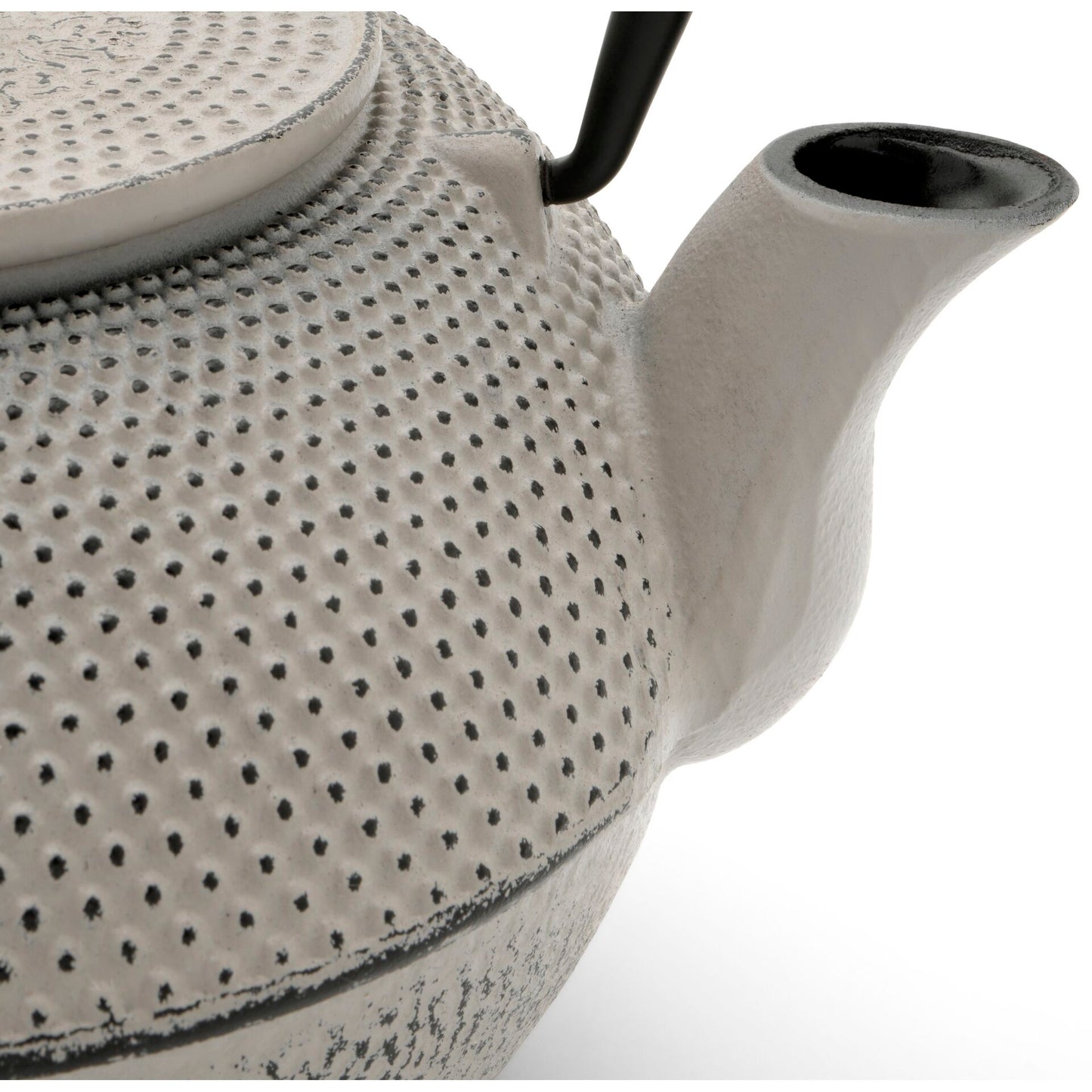 Bredemeijer Teapot Jang 1,1l Cast Iron grey + Filter 153019