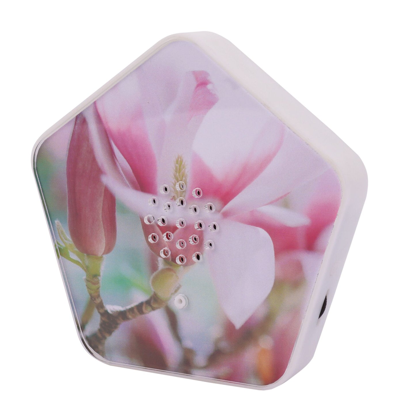 Olymp Nature BOX