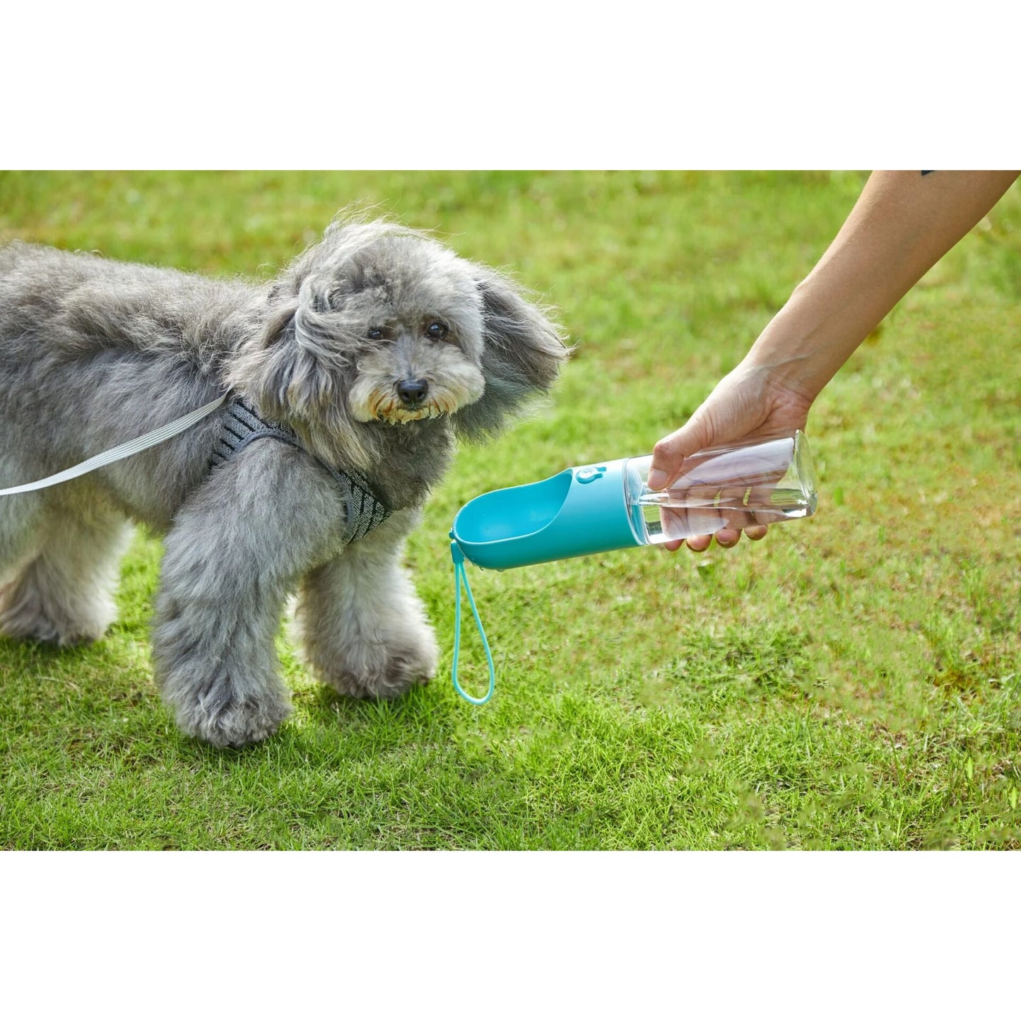 PETKIT Eversweet Travel S400- Blue (P4230c)
