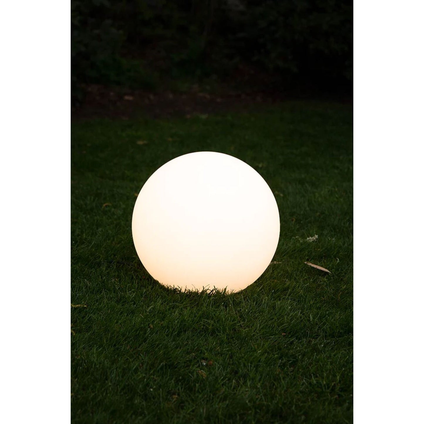 8 seasons Shining Globe 40