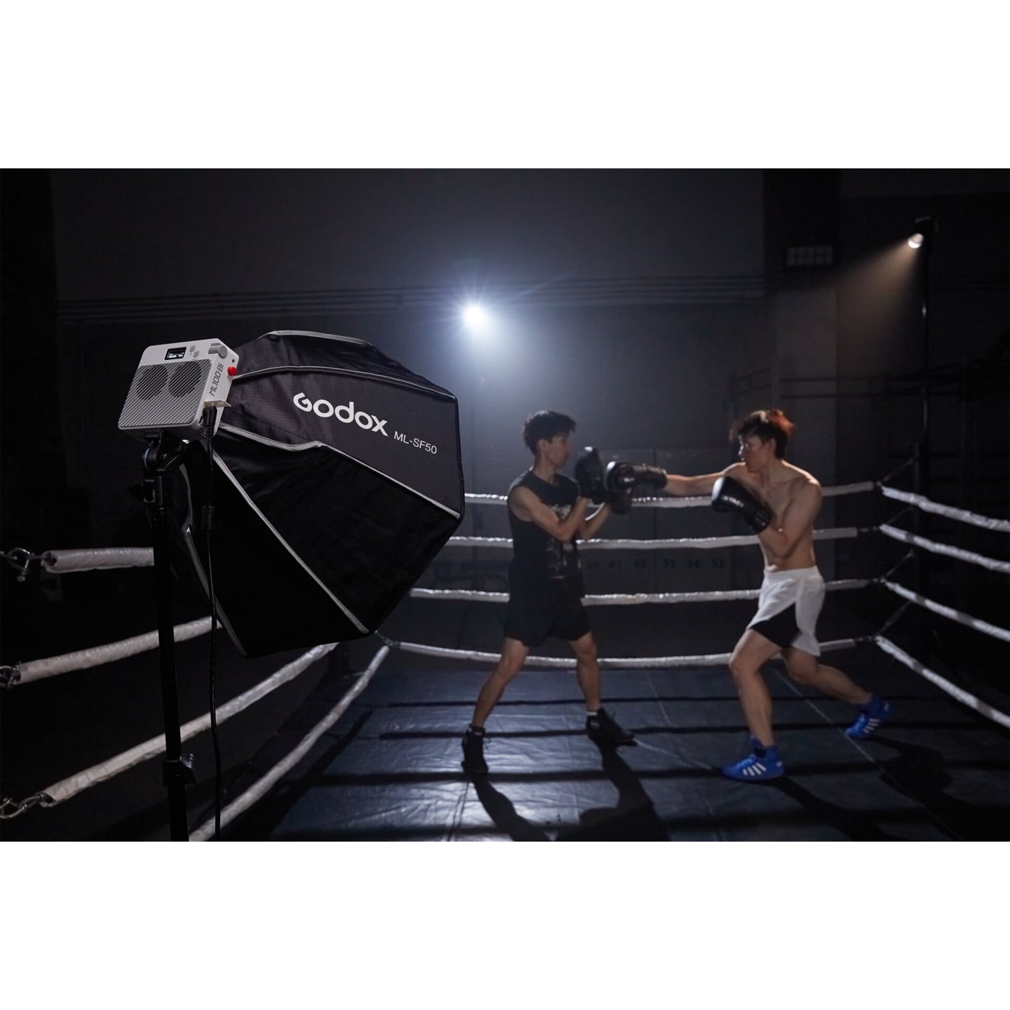 Godox ML100 Bi-color