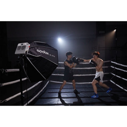 Godox ML100 Bi-color