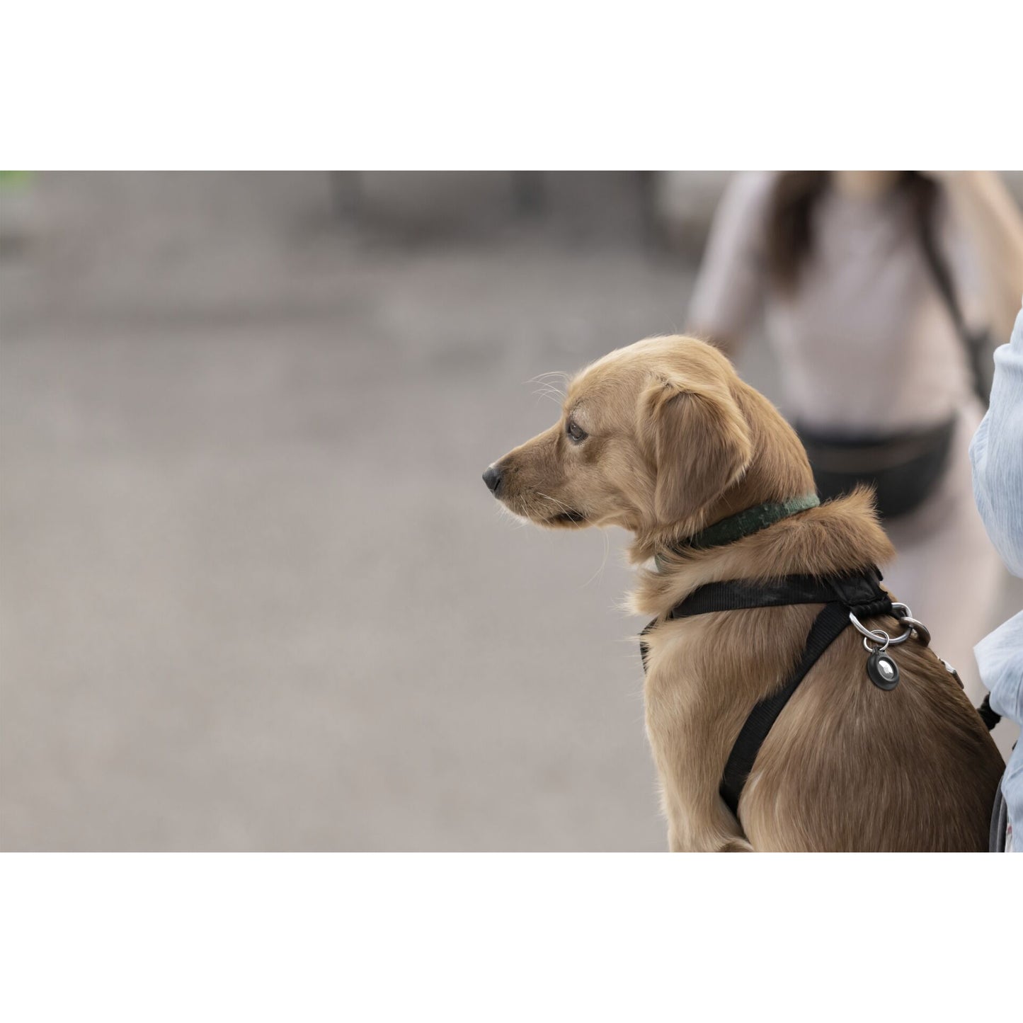 Belkin Secure Holder waterproof Keyring black MSC013btBK